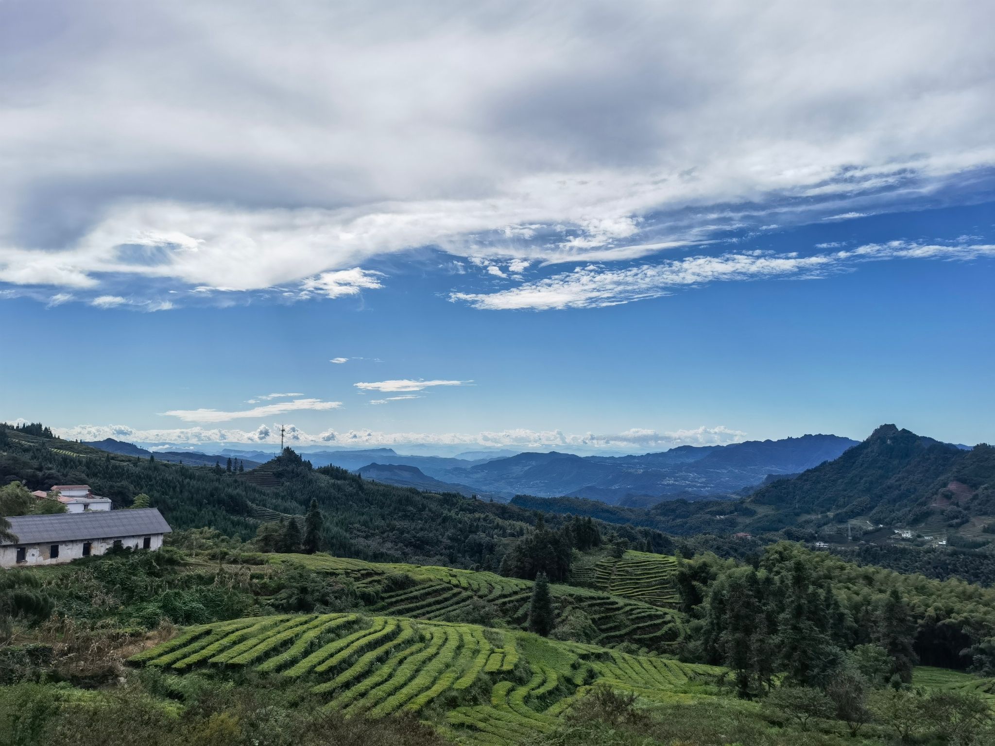 鹿鸣茶海旅游景区旅行图片 1