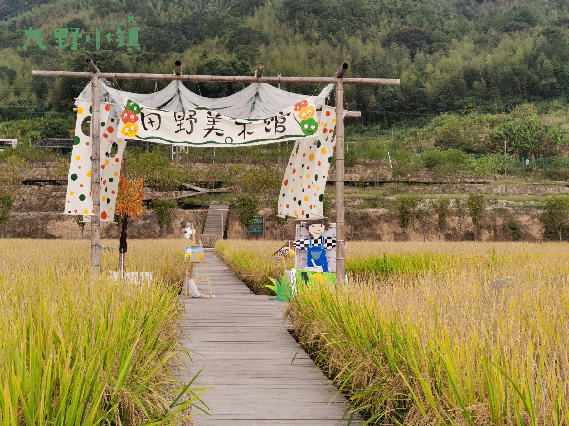 九野小镇旅行图片 1