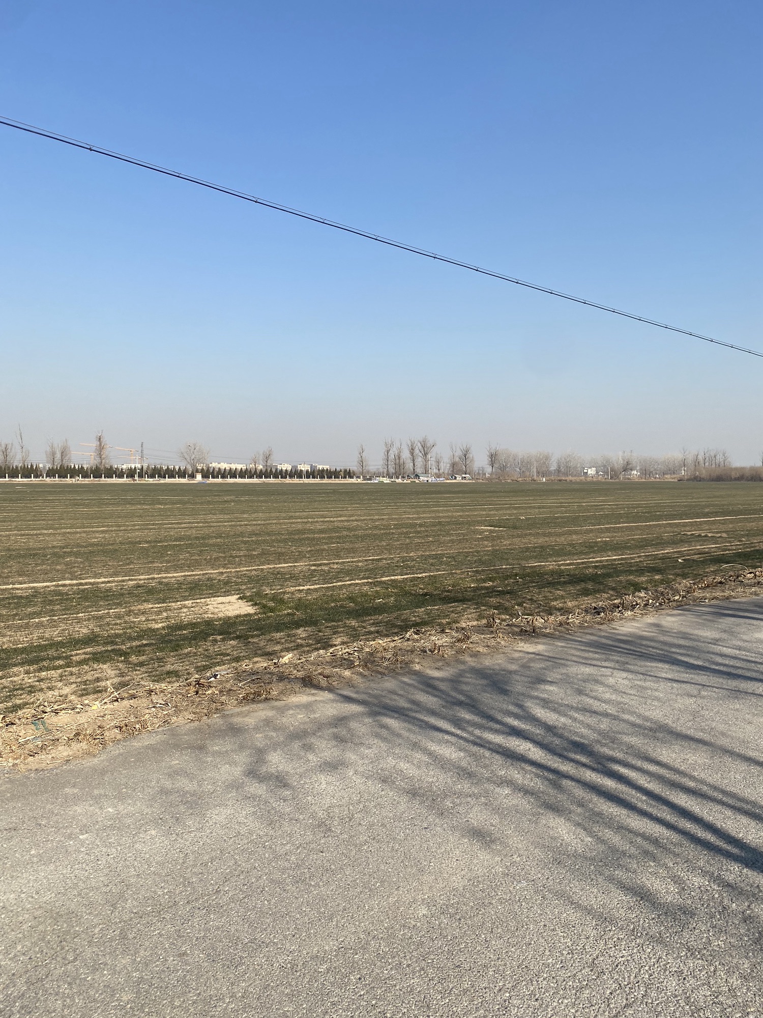 魏善庄城市森林公园旅行图片 2