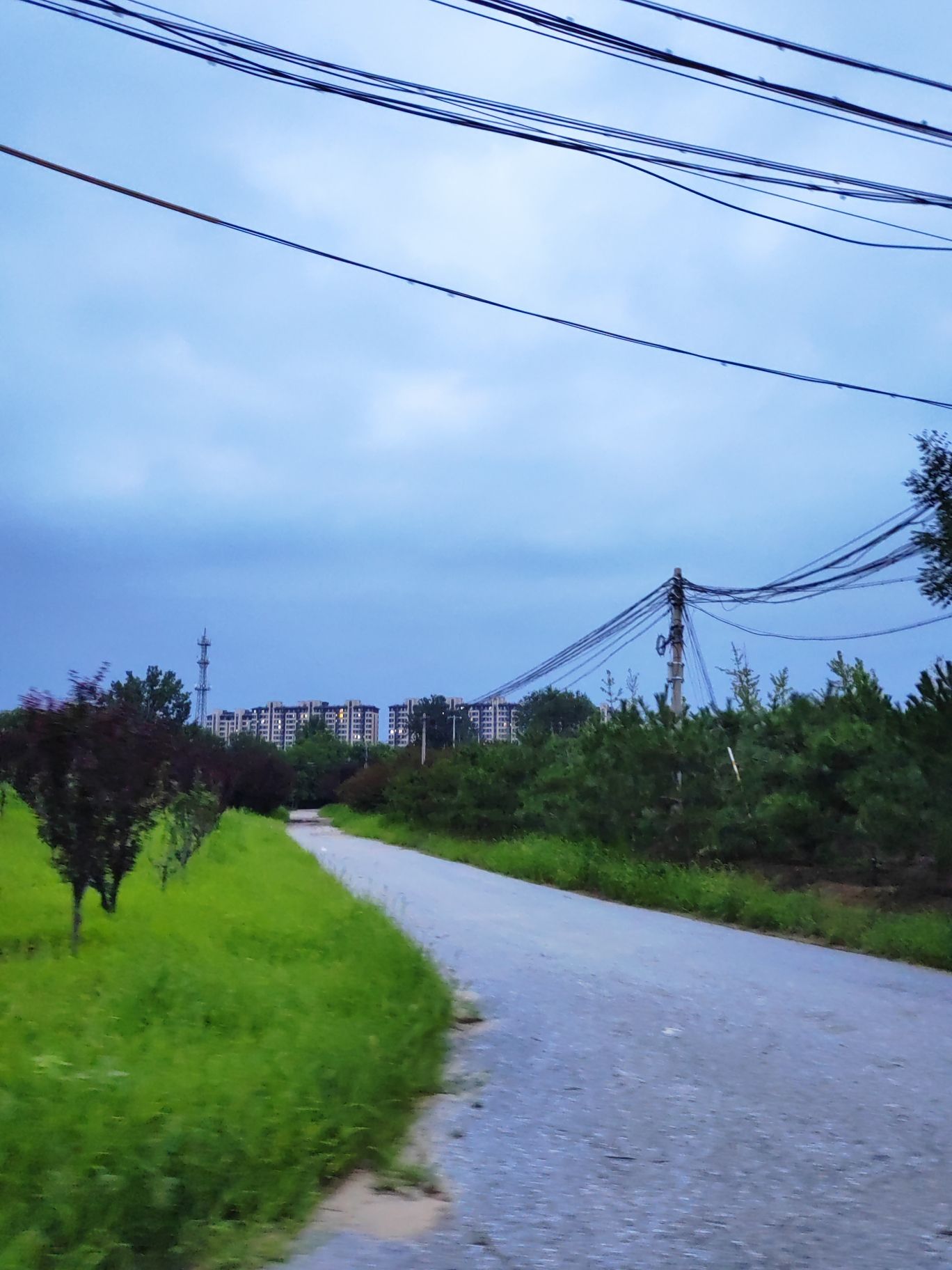 魏善庄城市森林公园旅行图片 3