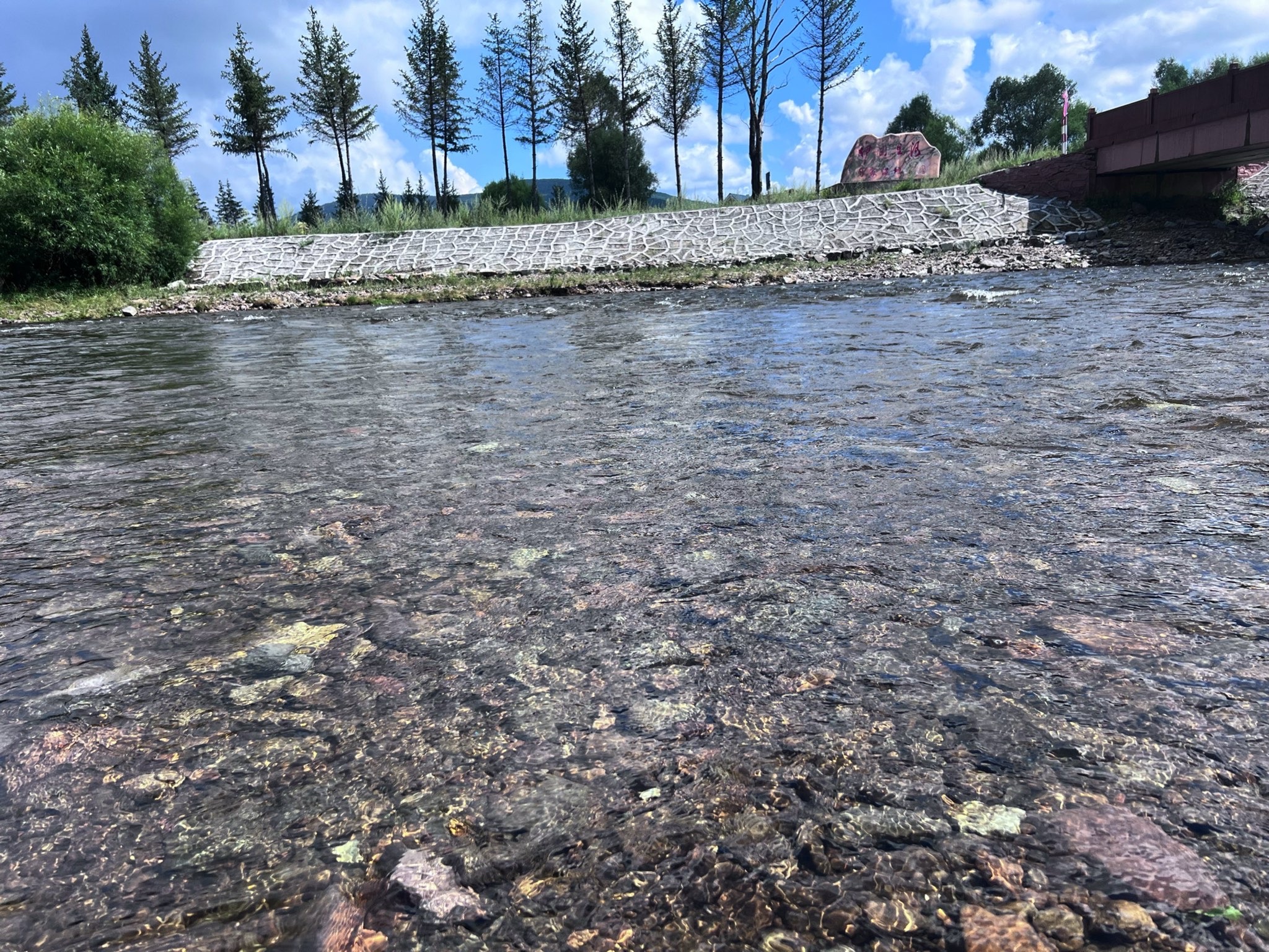 伊图里河国家湿地公园旅行图片 2