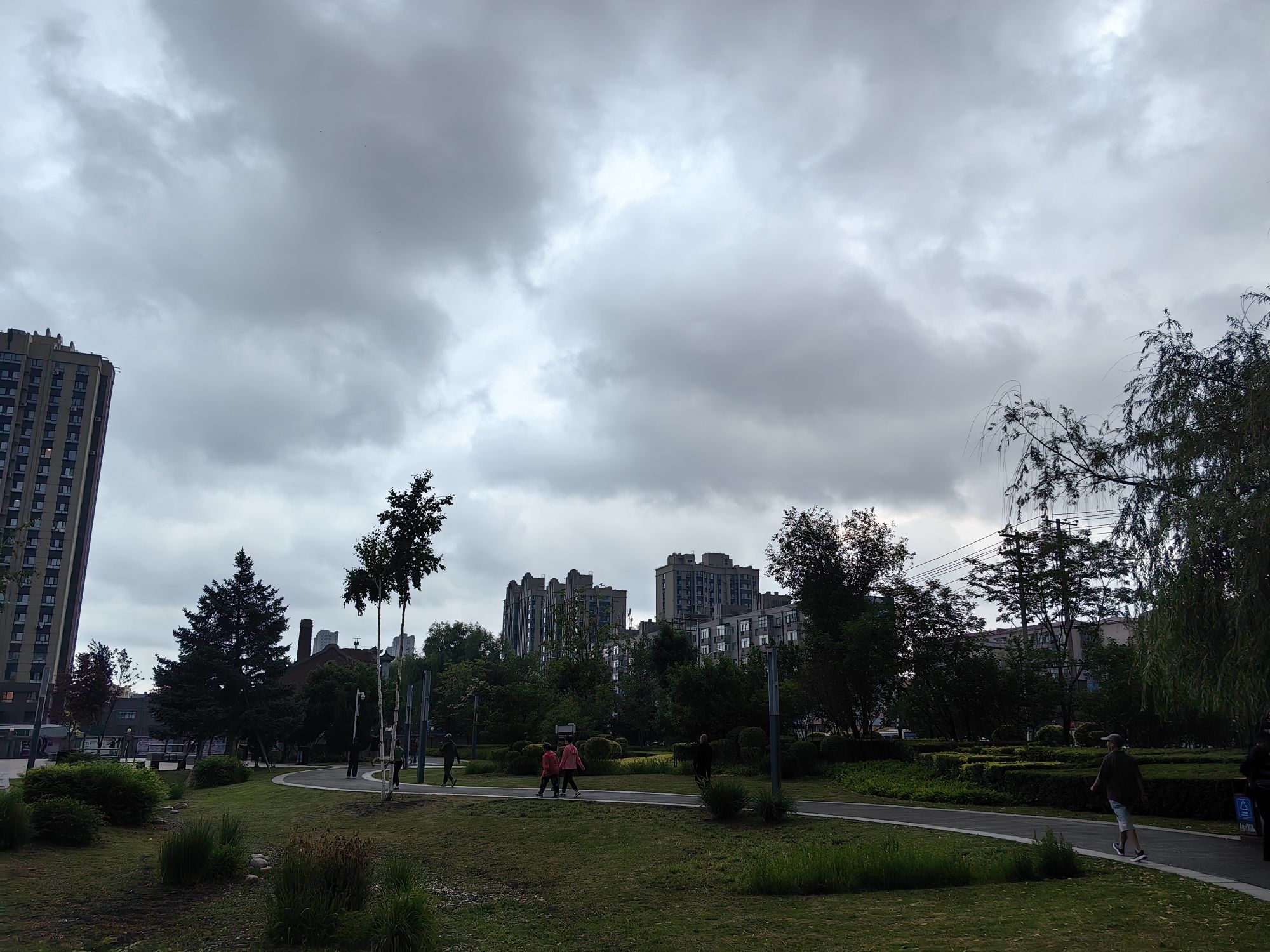 东直公园旅行图片 2