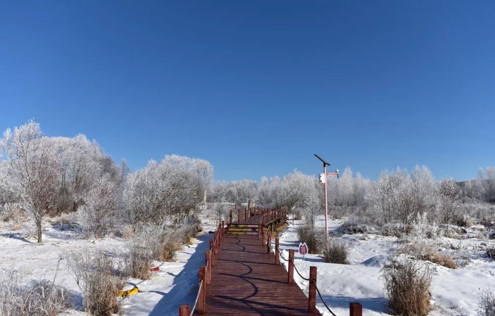 库都尔河国家湿地公园旅行图片 2