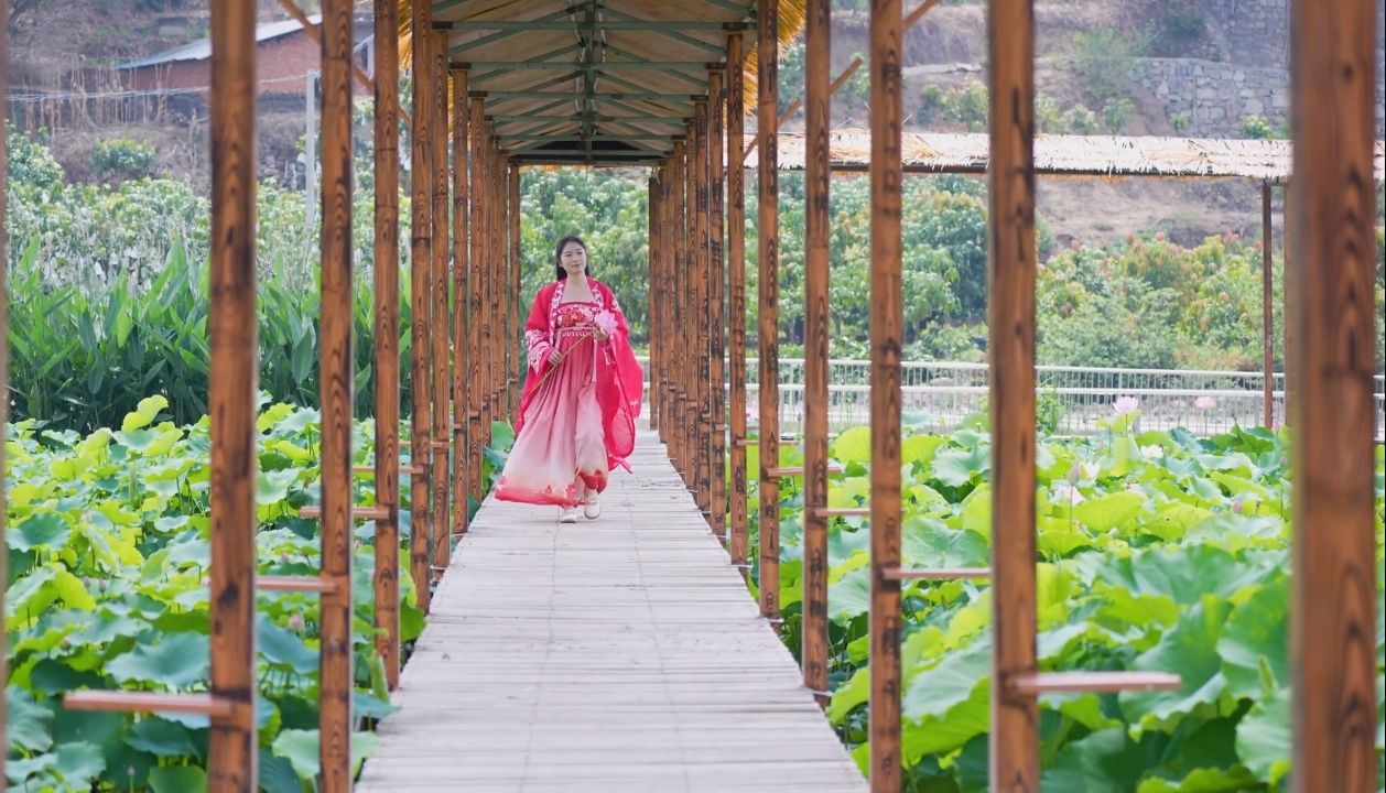 莲乡布德·梦里水乡旅行图片 1