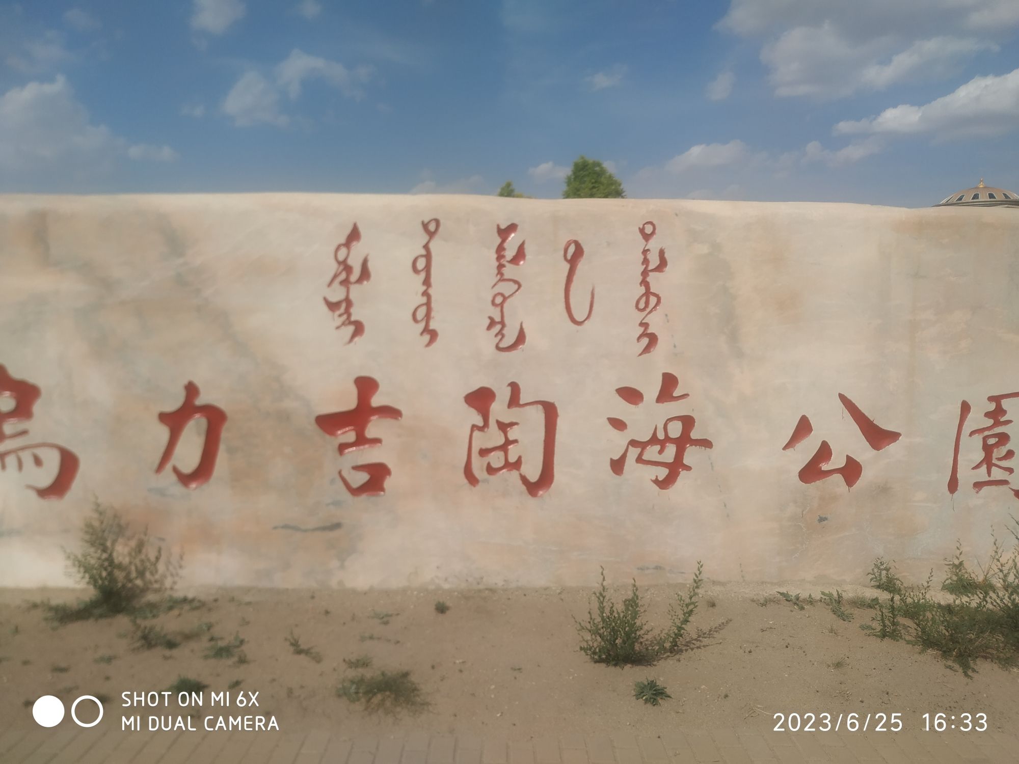 乌力吉陶海公园旅行图片 1