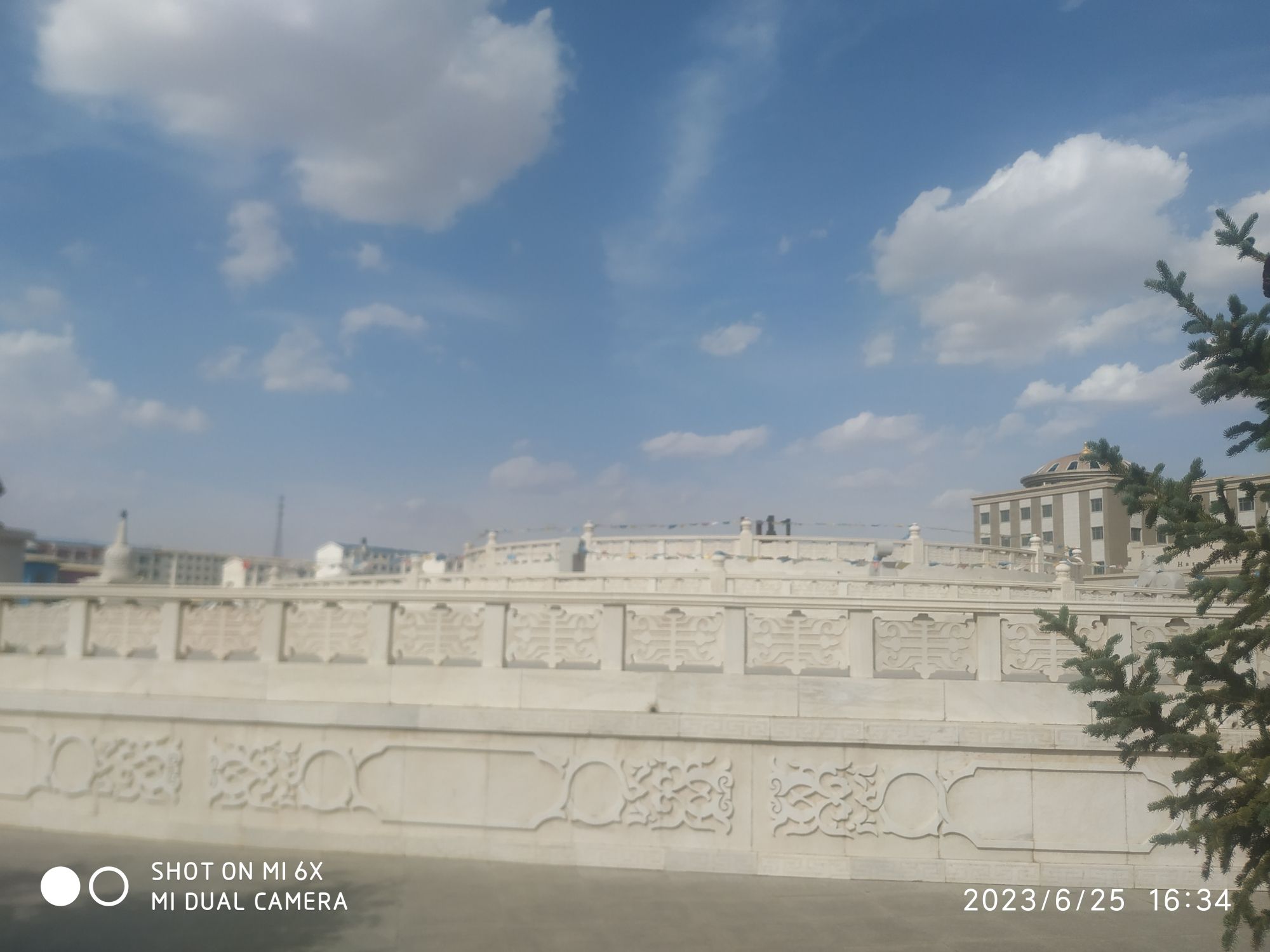 乌力吉陶海公园旅行图片 2
