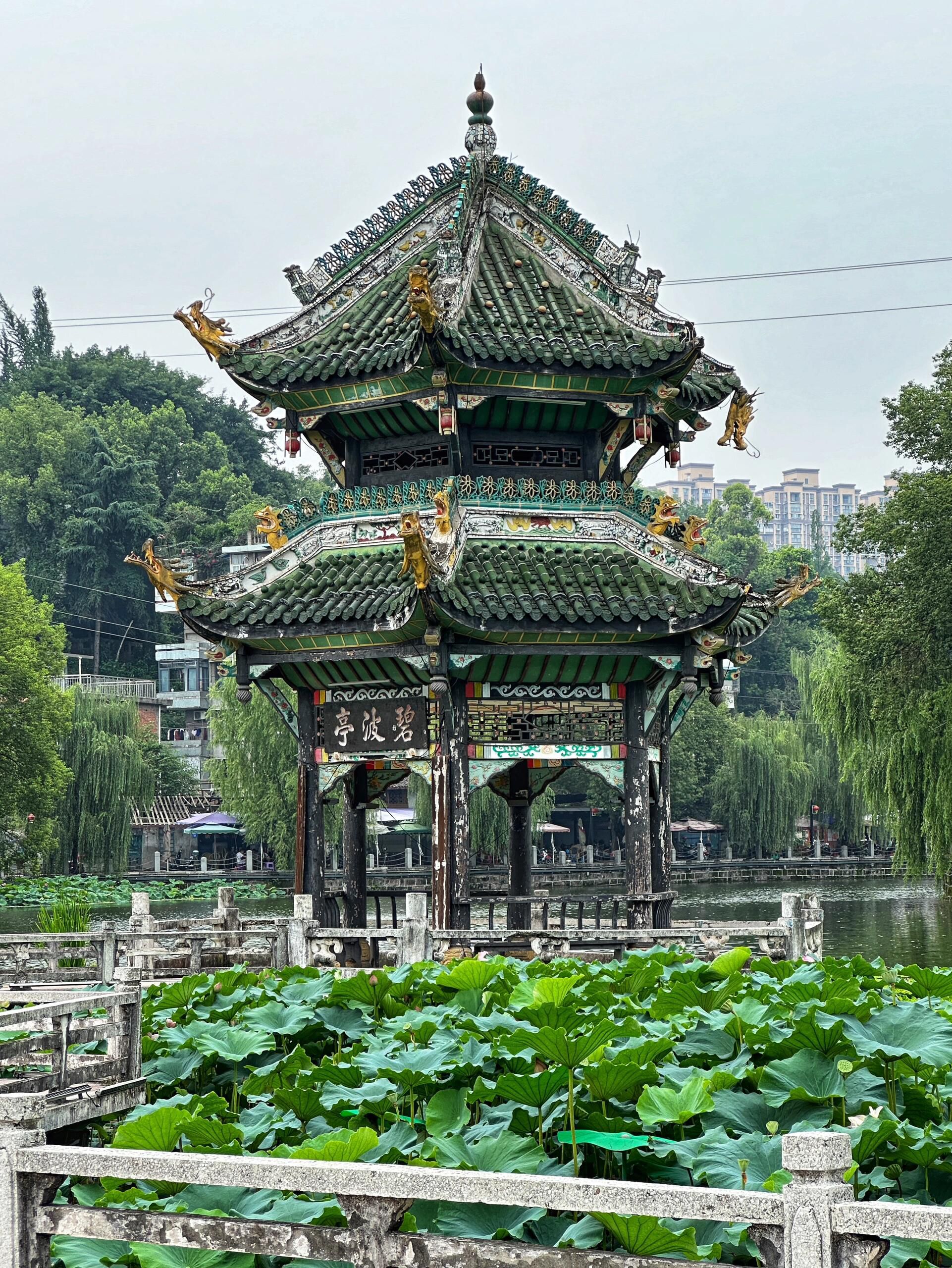 富顺文庙·西湖景区旅行图片 2