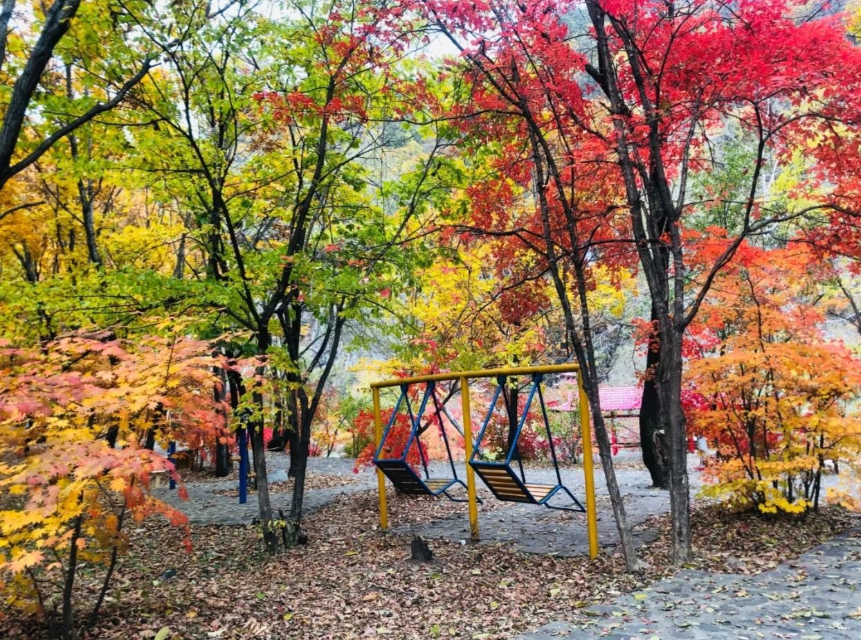 万龙山龙溪谷旅行图片 1