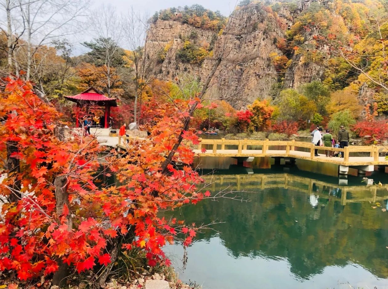 万龙山龙溪谷旅行图片 2