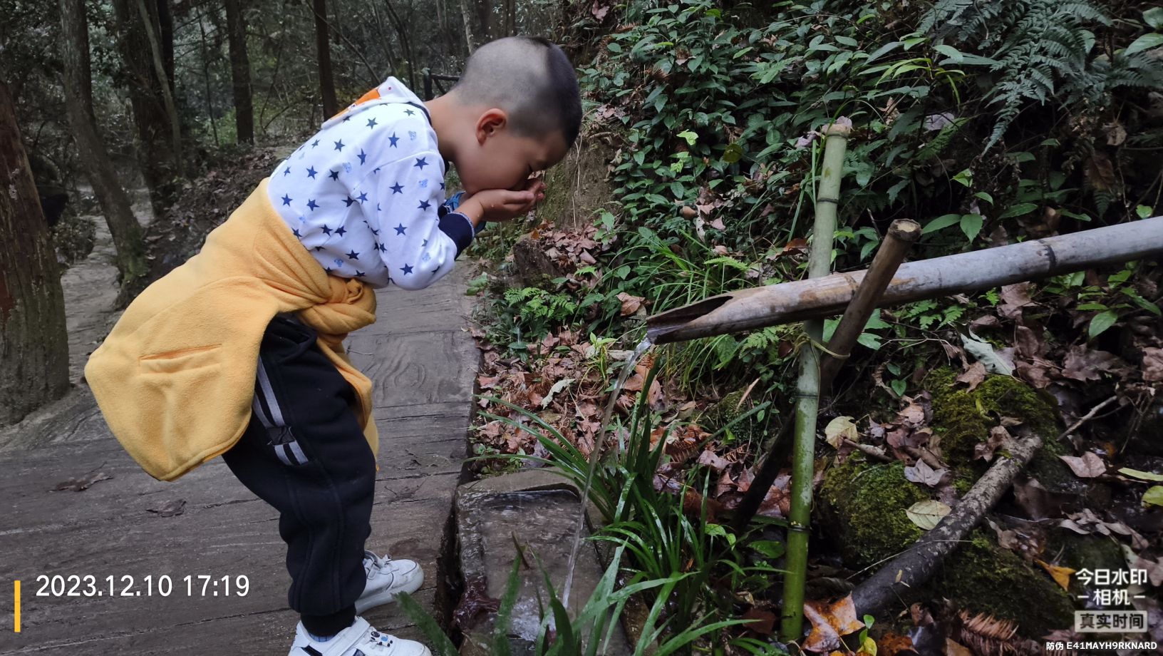 万龙山龙溪谷旅行图片 3