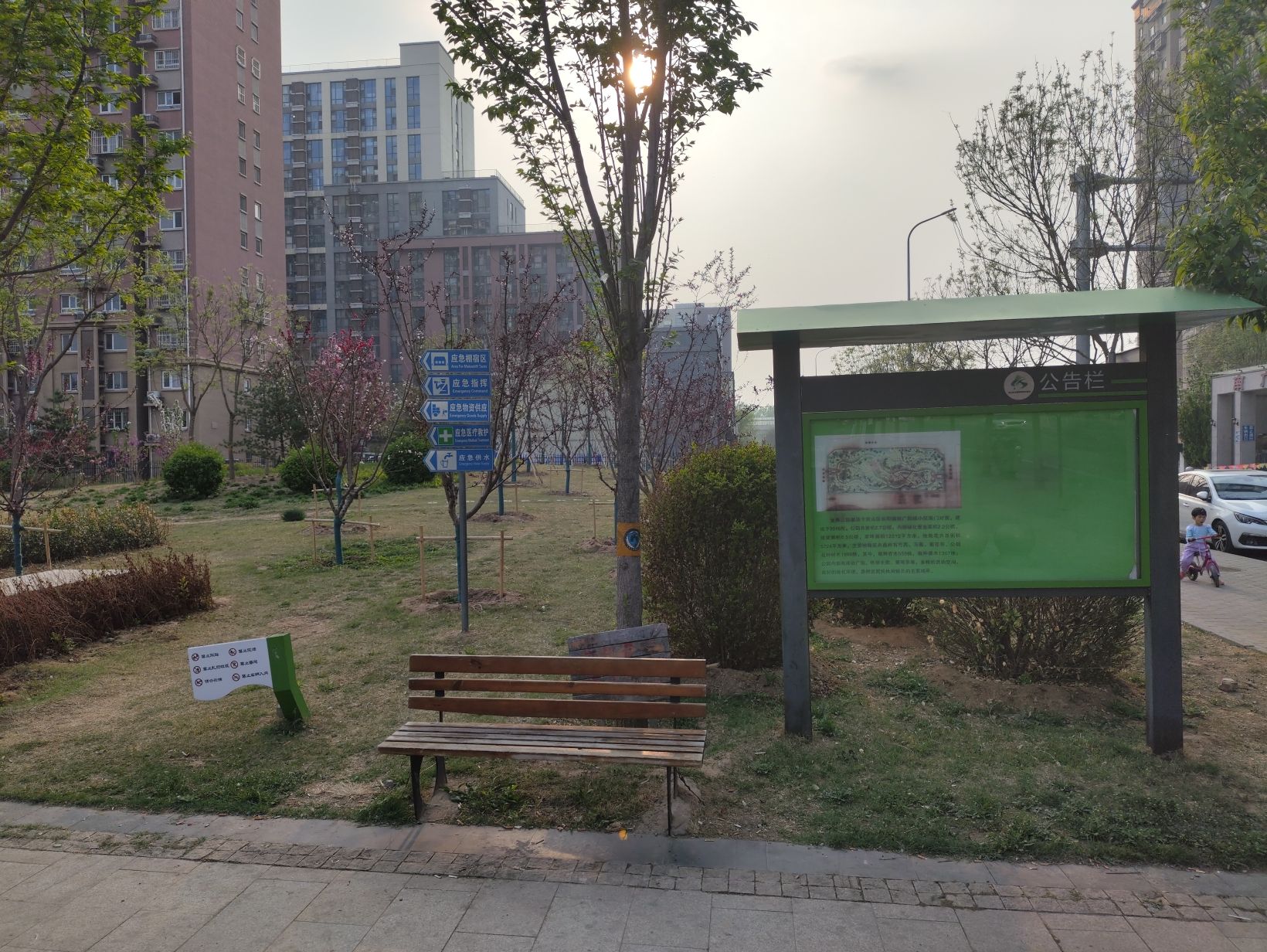 金隅公园旅行图片 2