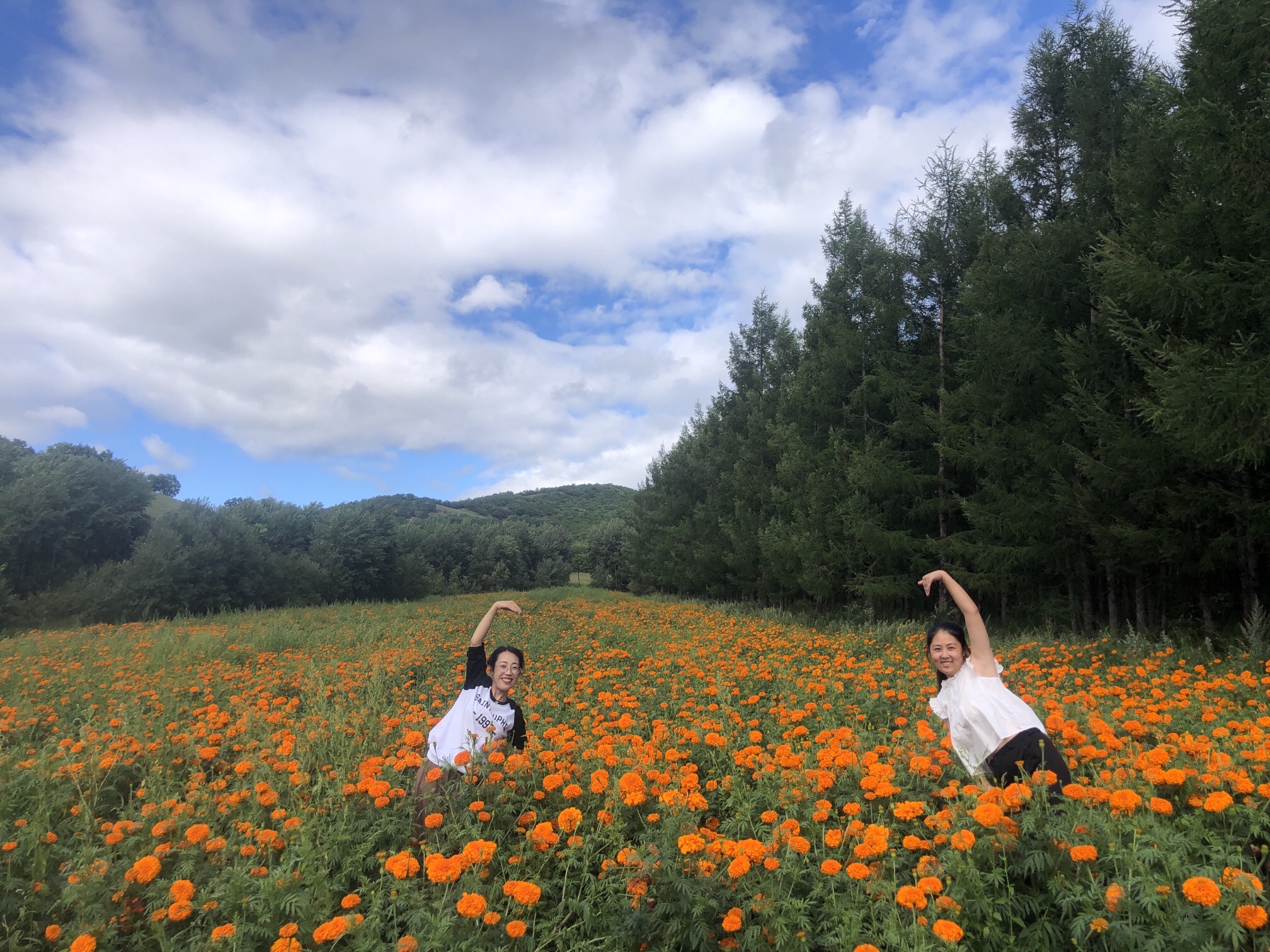 内蒙古索尔奇国家湿地公园旅行图片 1