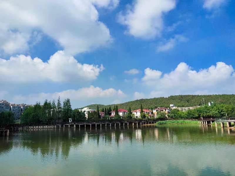 龙潭湖公园旅行图片 3