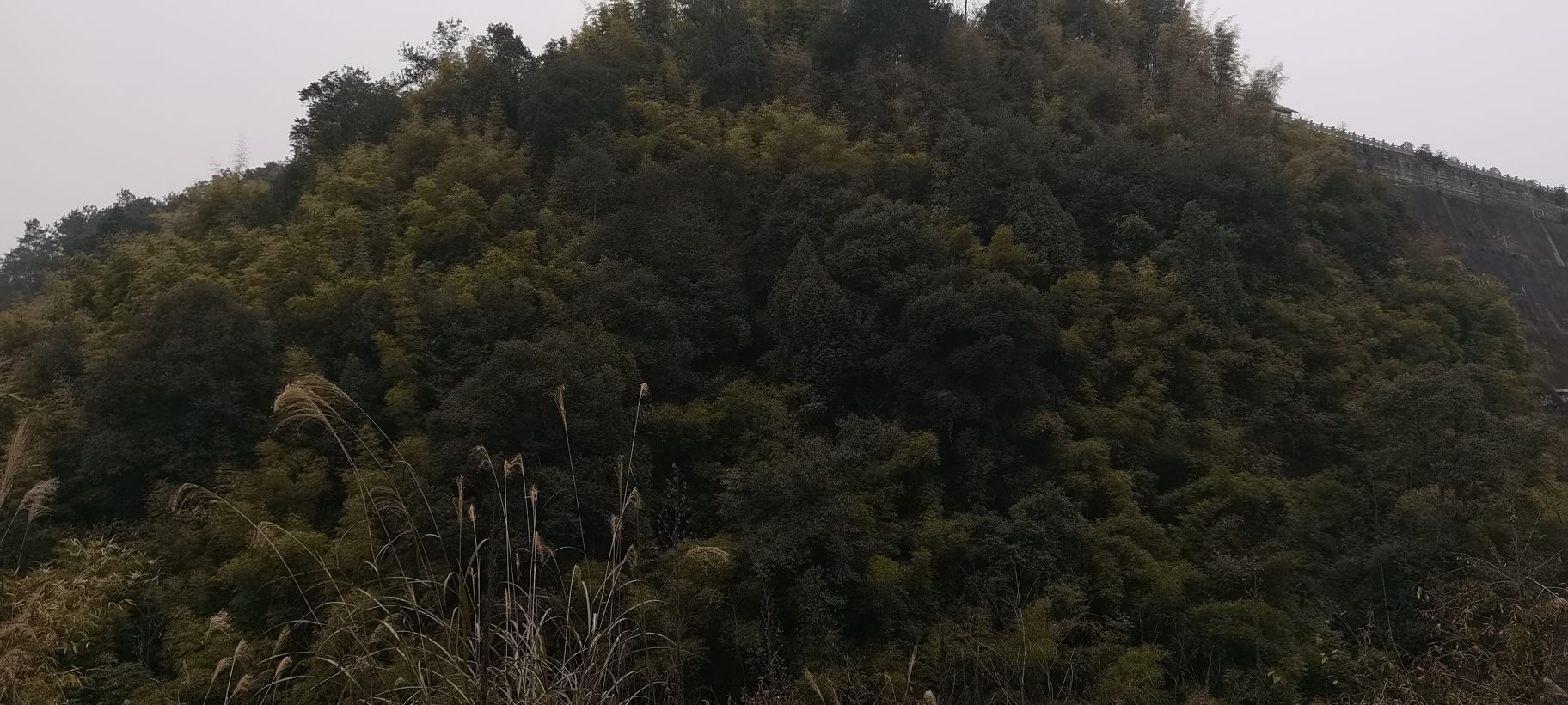狸狐洞水库旅行图片 1