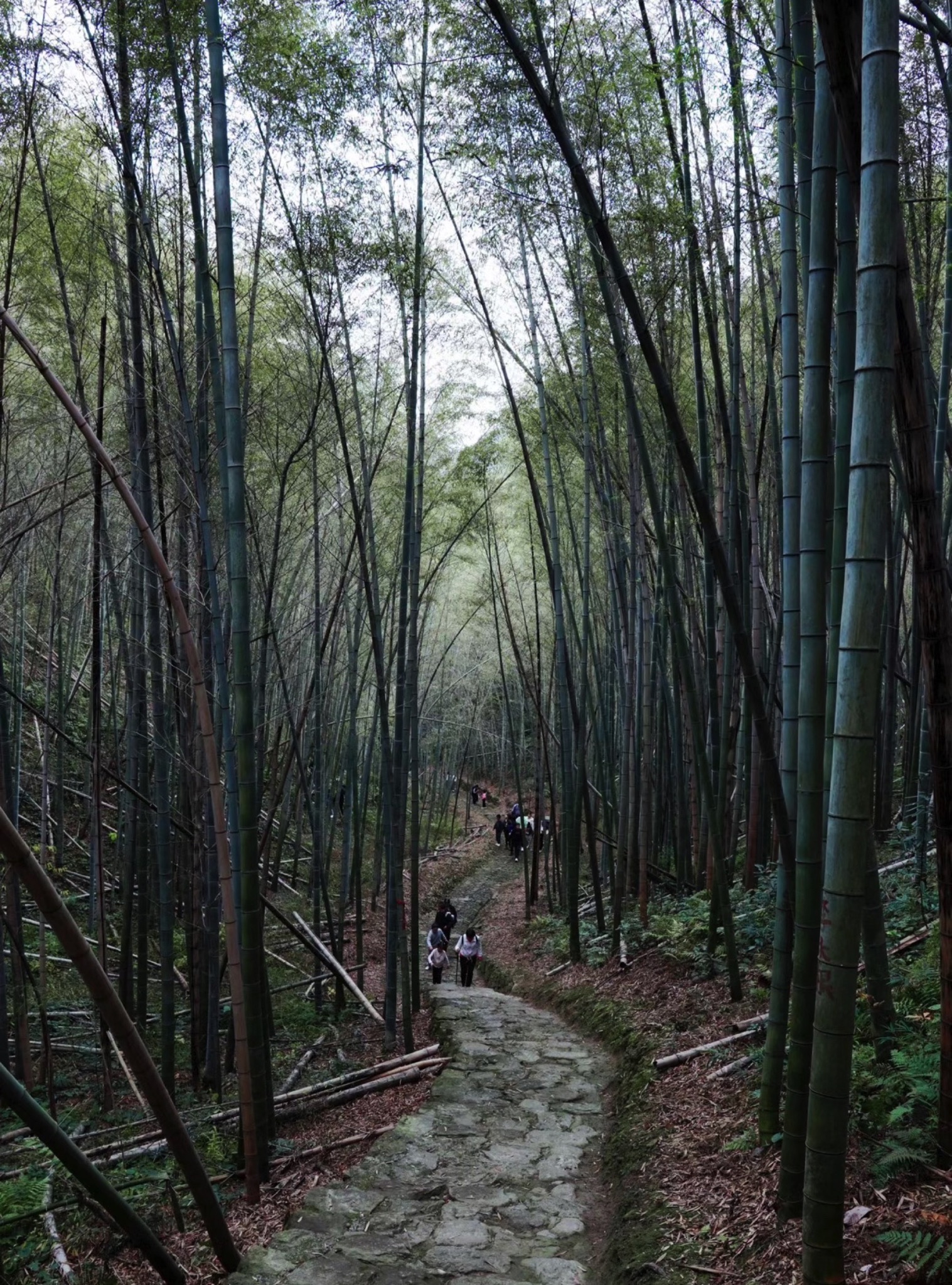萧绍古道旅行图片 2