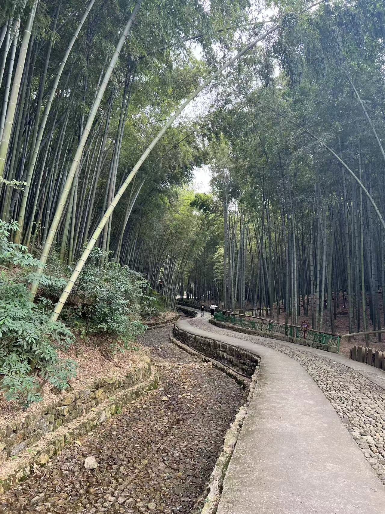 萧绍古道旅行图片 3