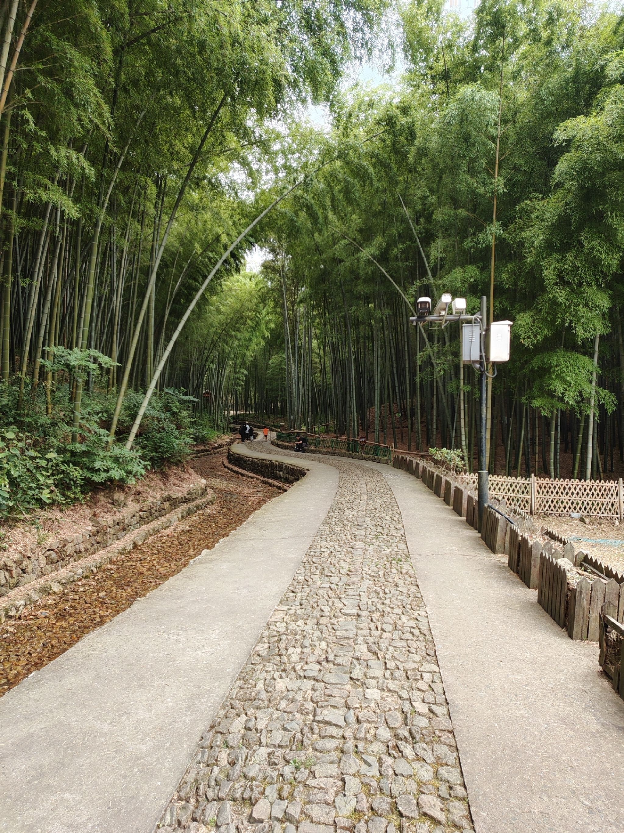 萧绍古道旅行图片 3