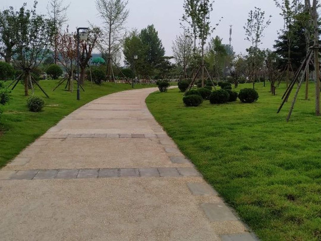 莱阳体育公园旅行图片 2
