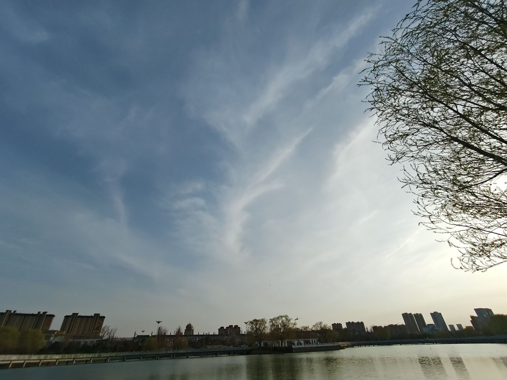 莱阳体育公园旅行图片 3