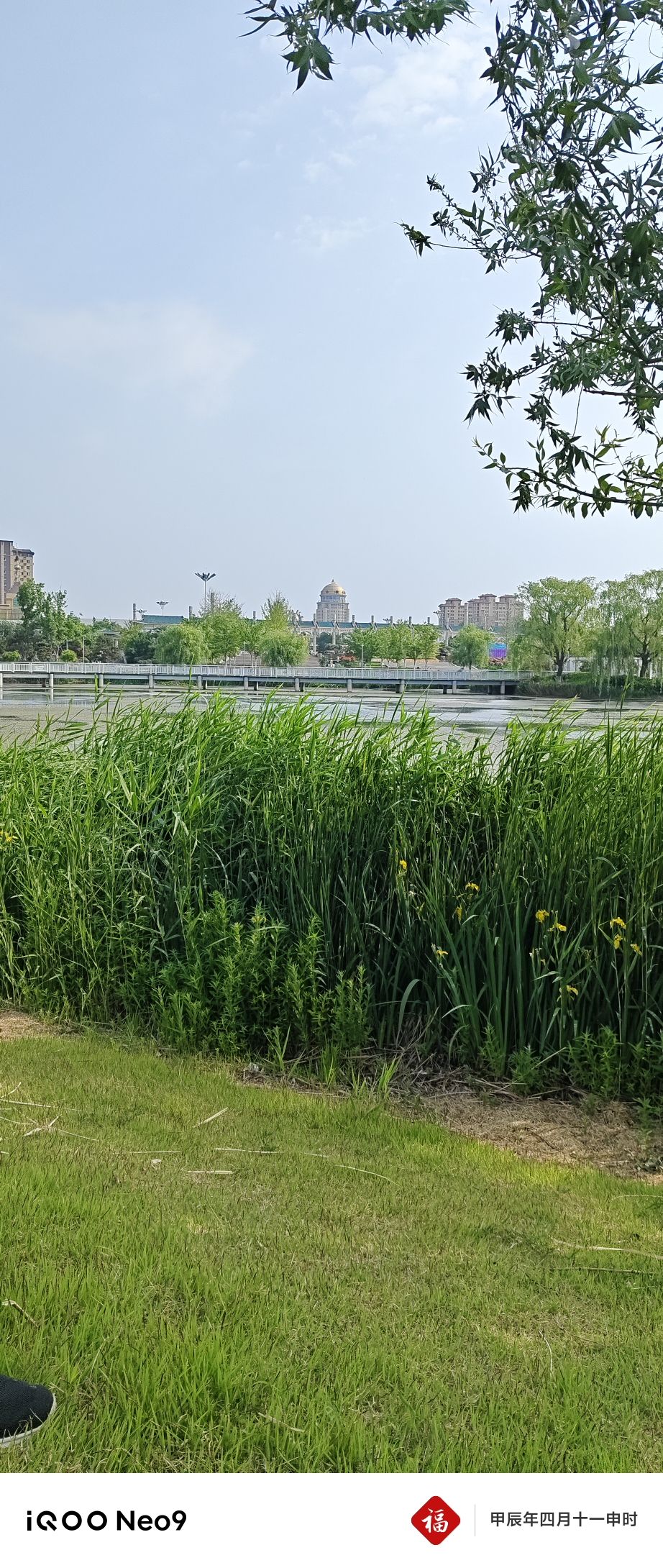 莱阳体育公园旅行图片 1