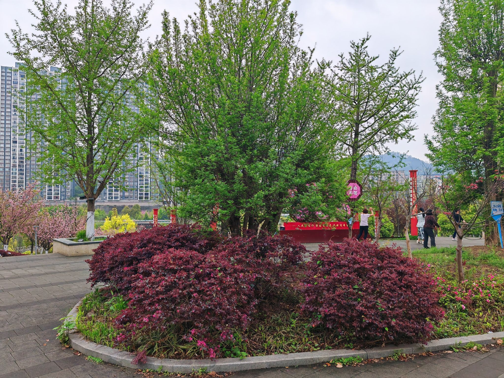 忠庄河湿地公园旅行图片 1