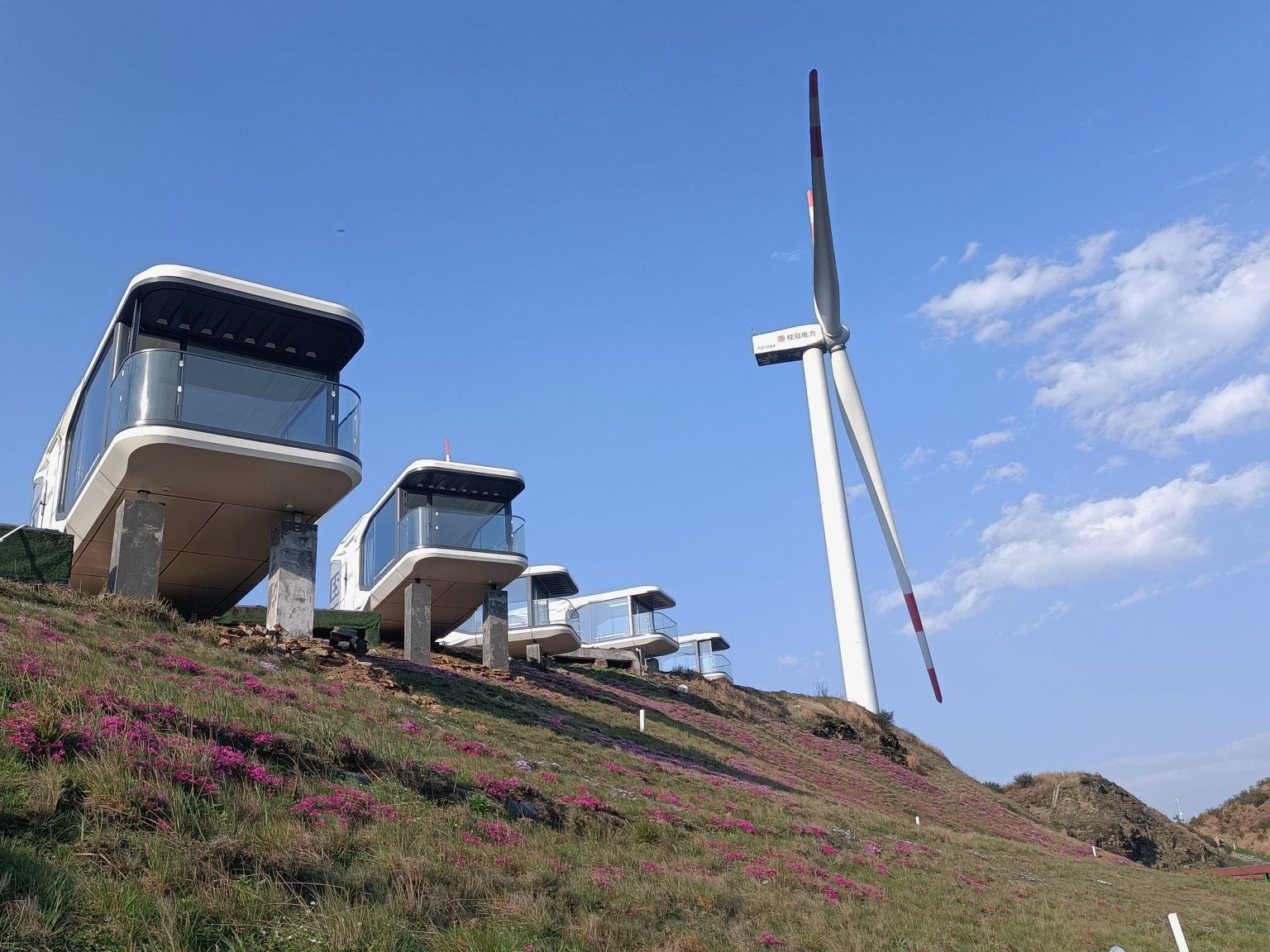 忠庄河湿地公园旅行图片 3