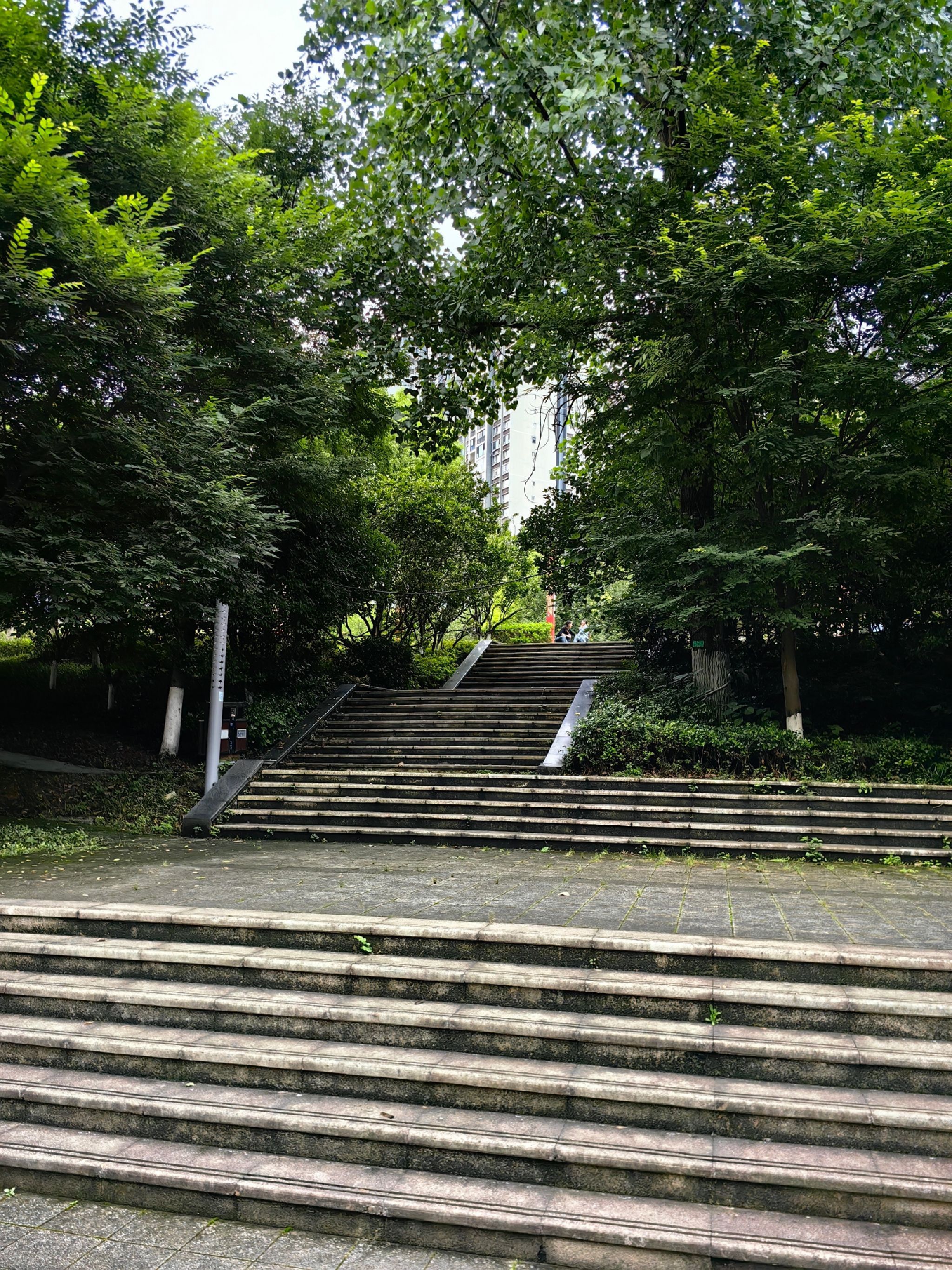 忠庄河湿地公园旅行图片 2