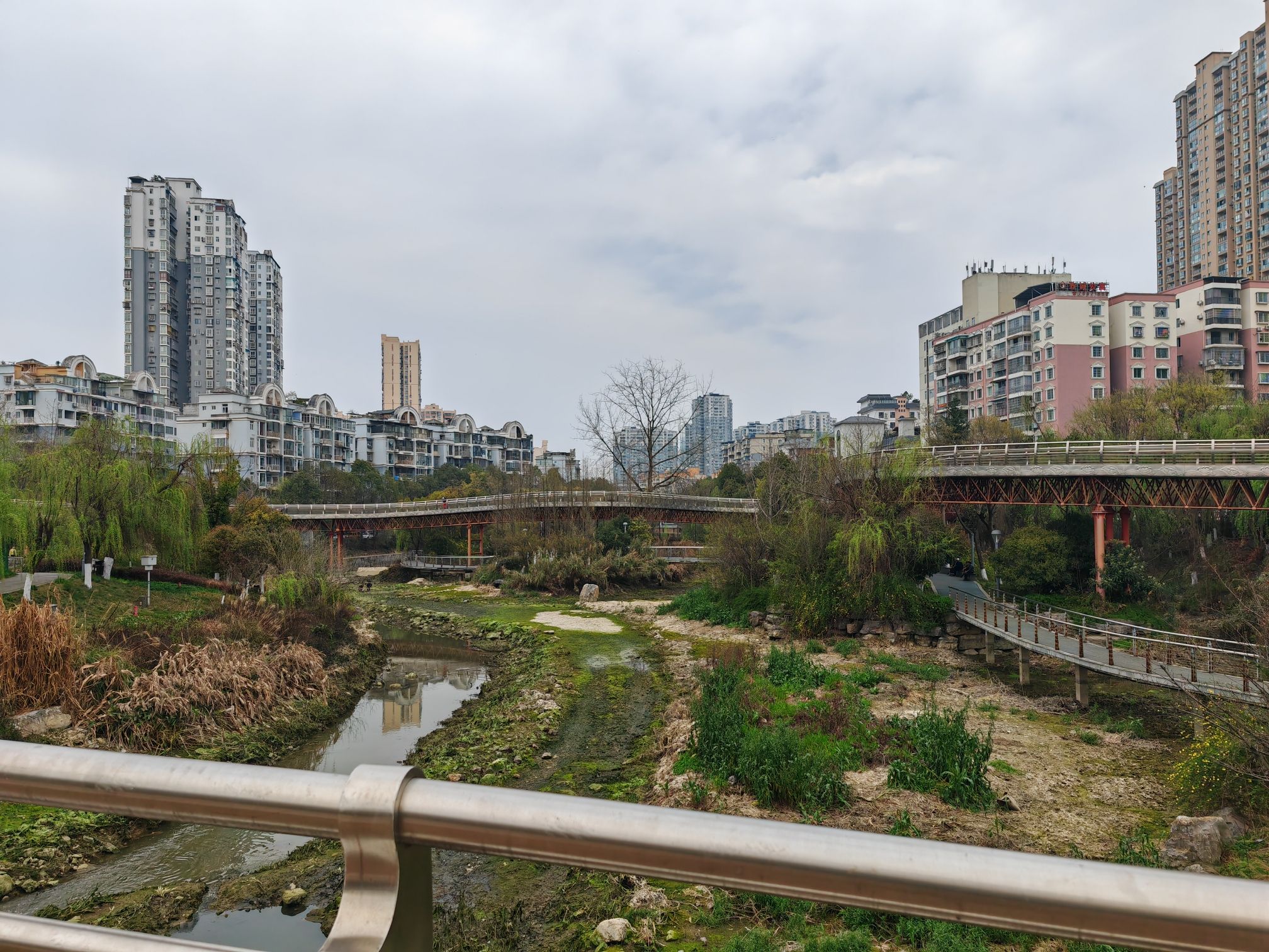忠庄河湿地公园旅行图片 2