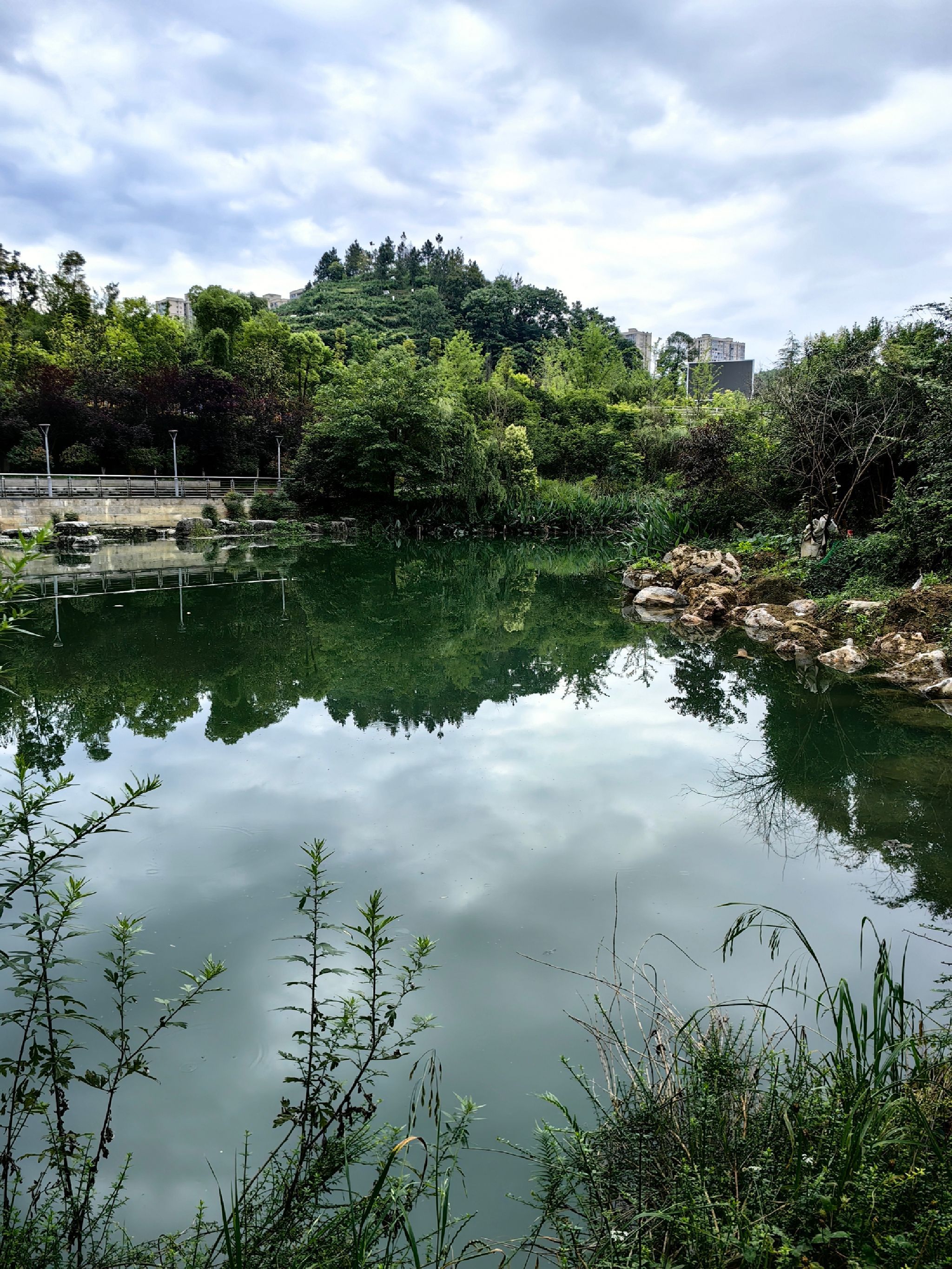 忠庄河湿地公园旅行图片 3