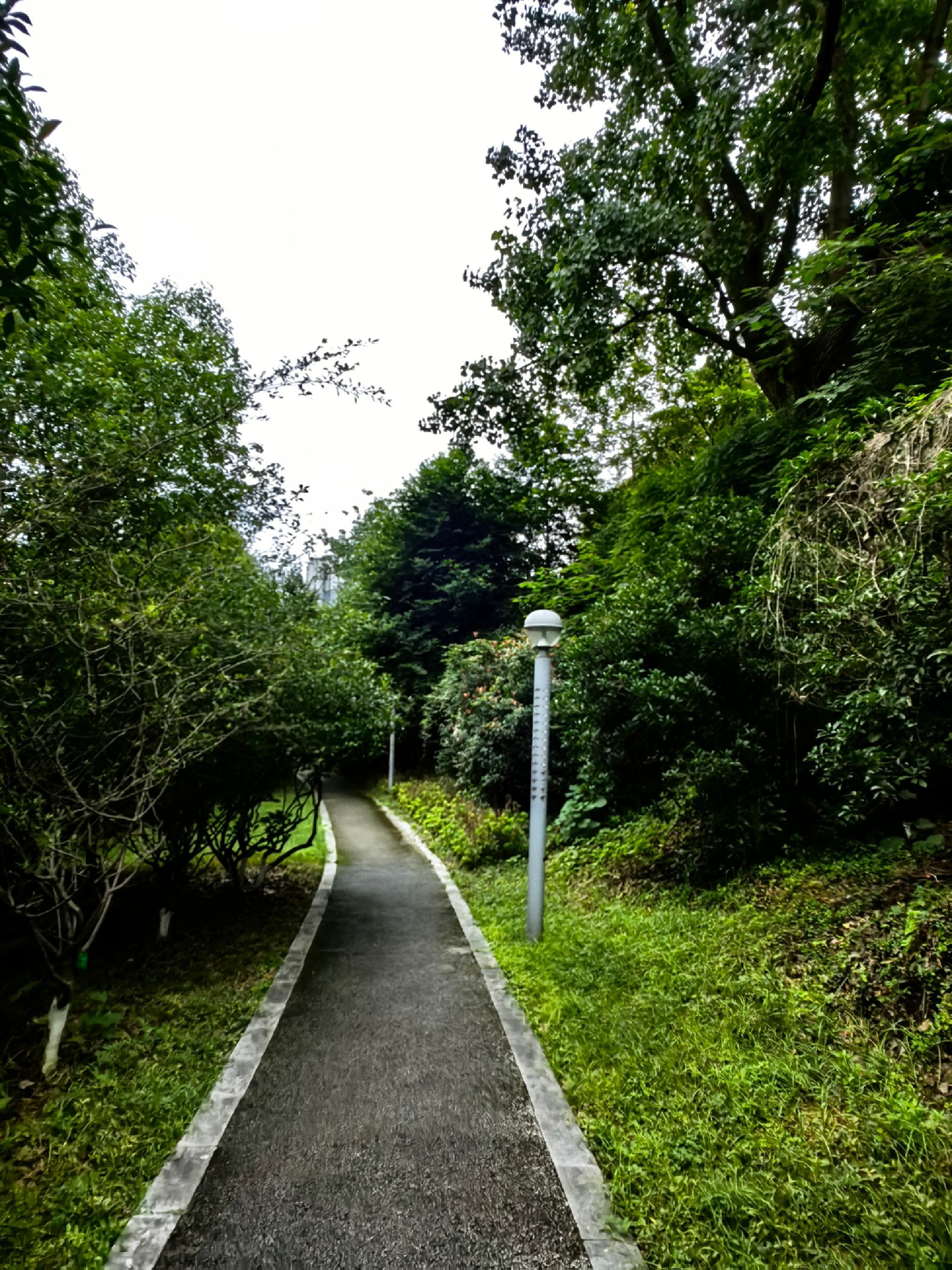 忠庄河湿地公园旅行图片 1