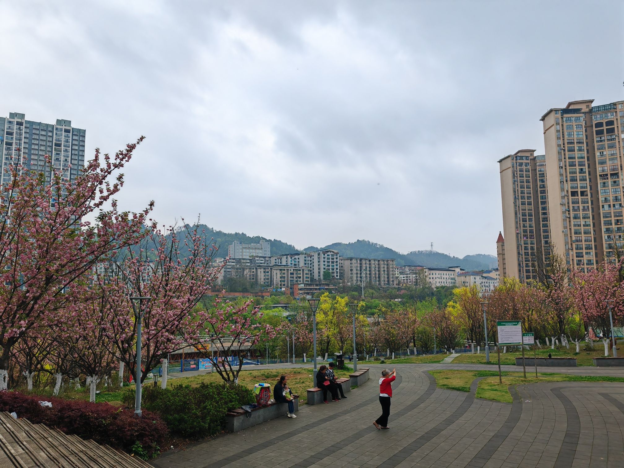 忠庄河湿地公园旅行图片 2
