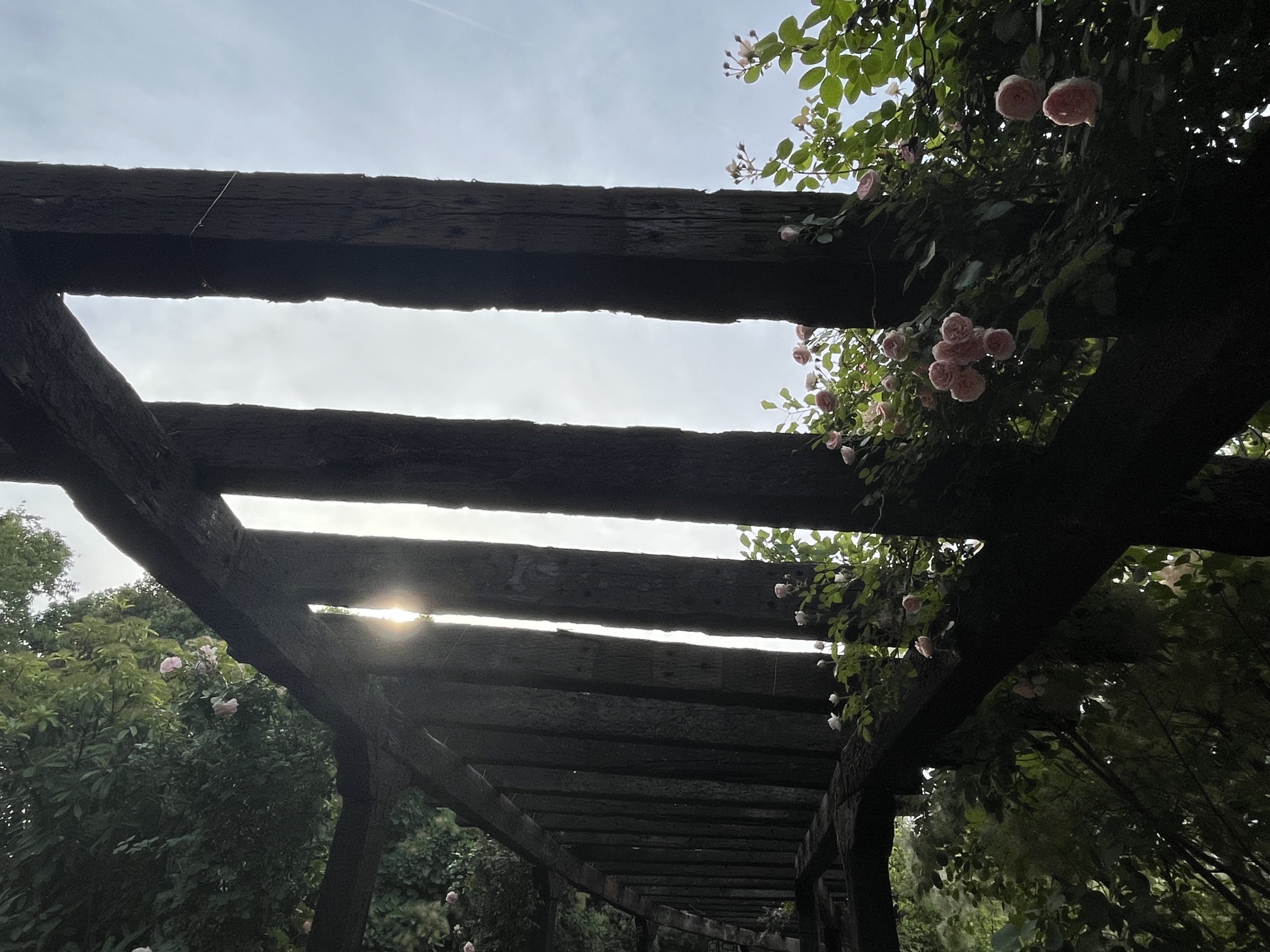 泮池公园旅行图片 2