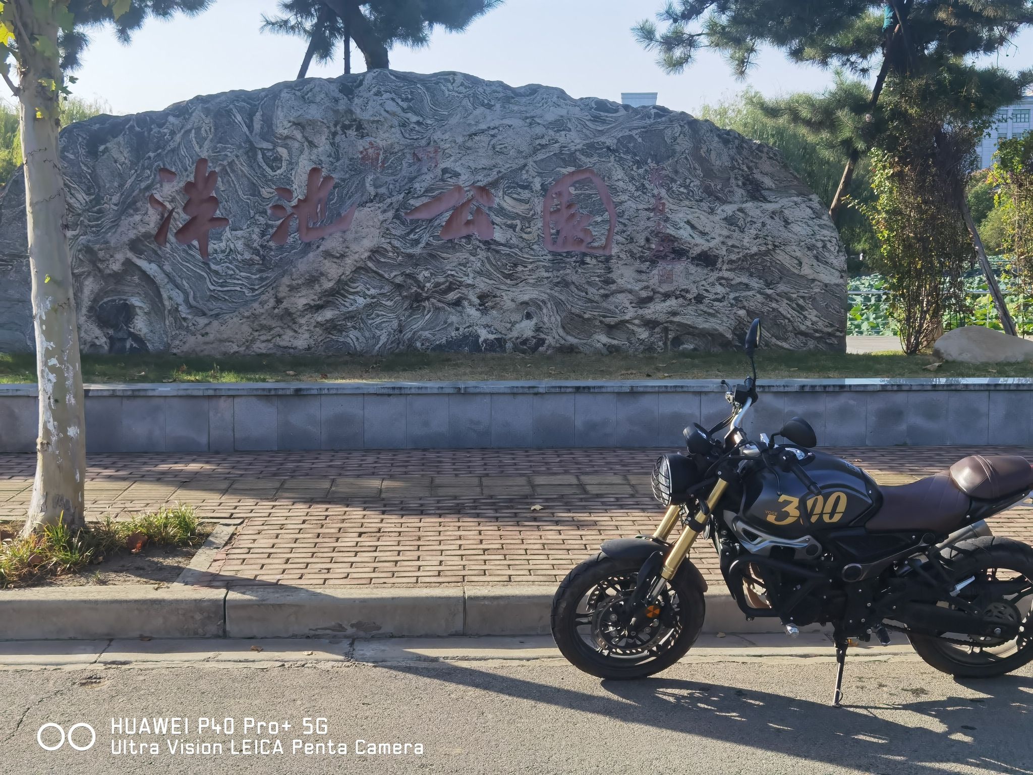 泮池公园旅行图片 3