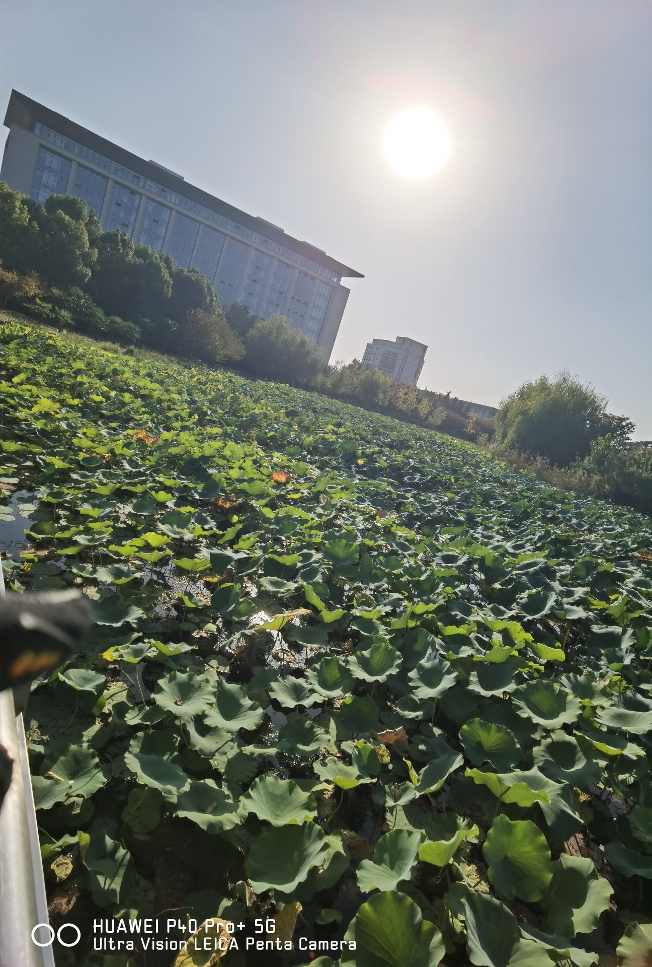 泮池公园旅行图片 2