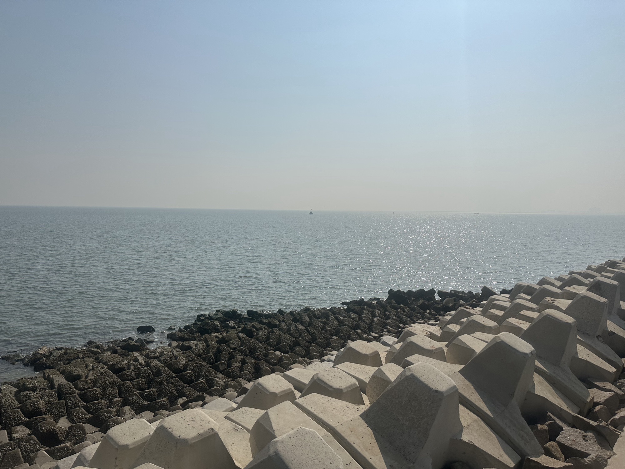 东堤公园旅行图片 1