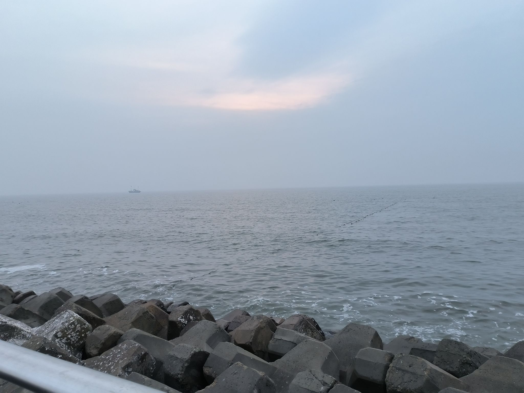 东堤公园旅行图片 1