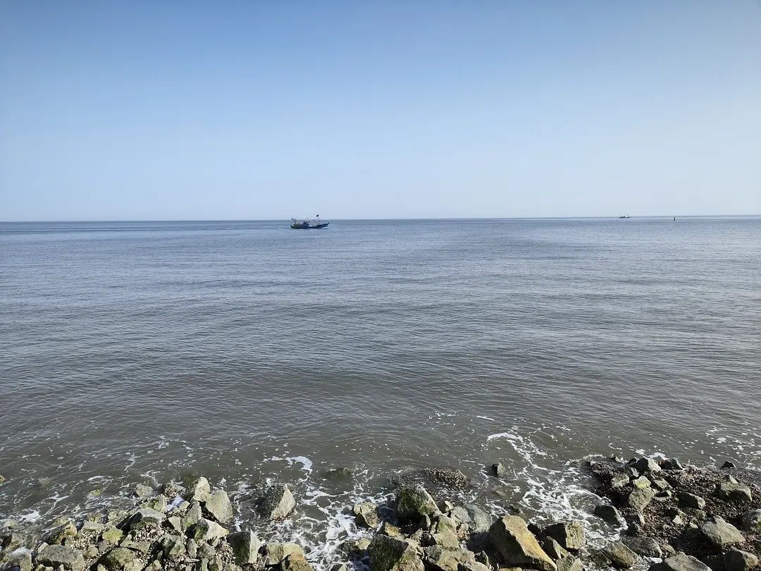 东堤公园旅行图片 1