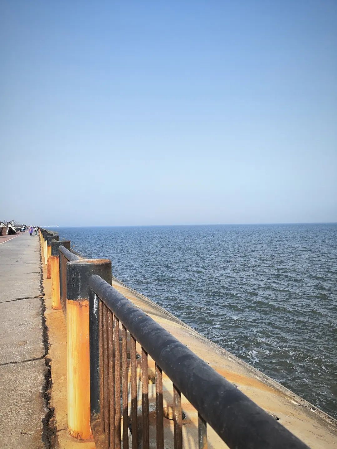 东堤公园旅行图片 3