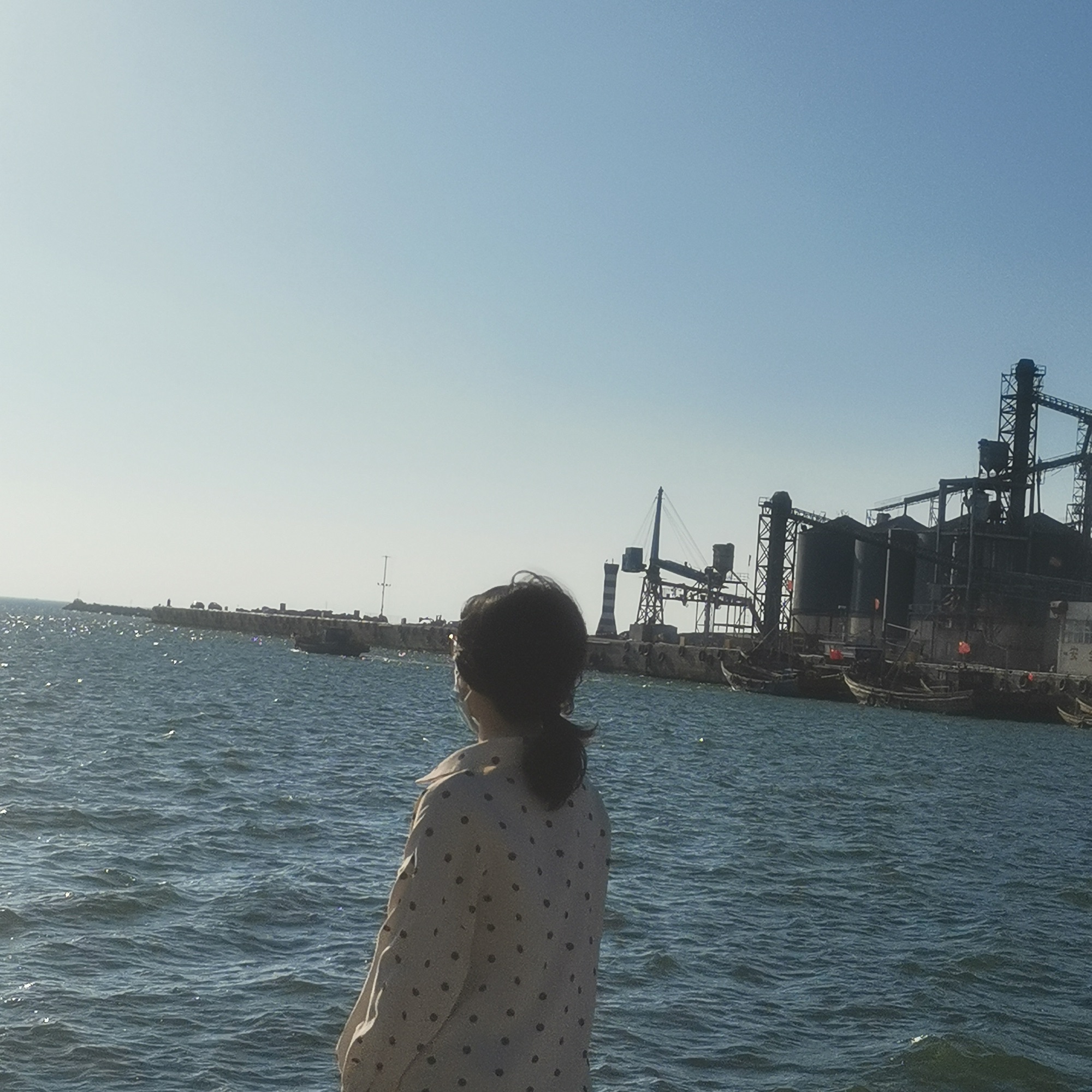 海庙拾贝滩旅行图片 1