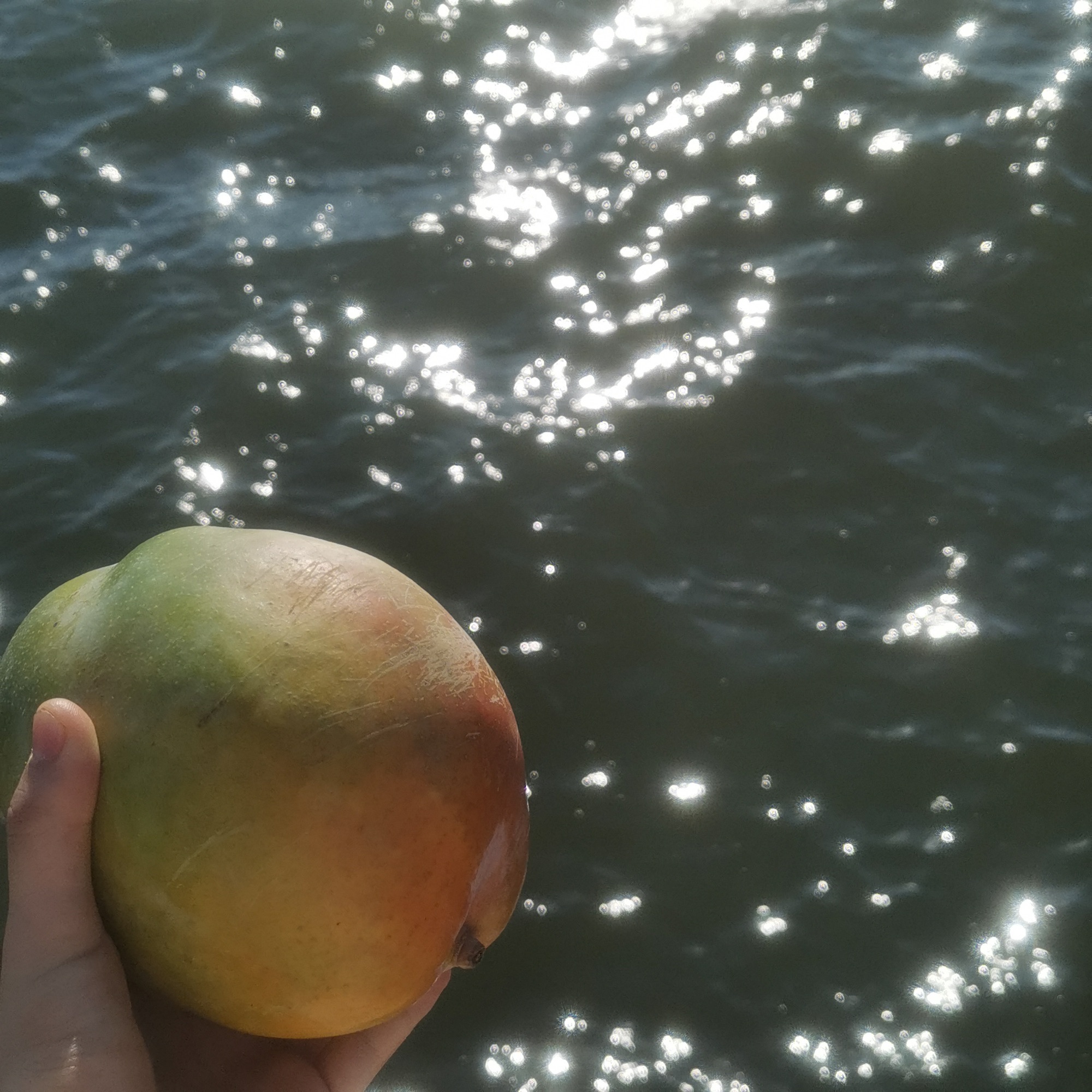 海庙拾贝滩旅行图片 3