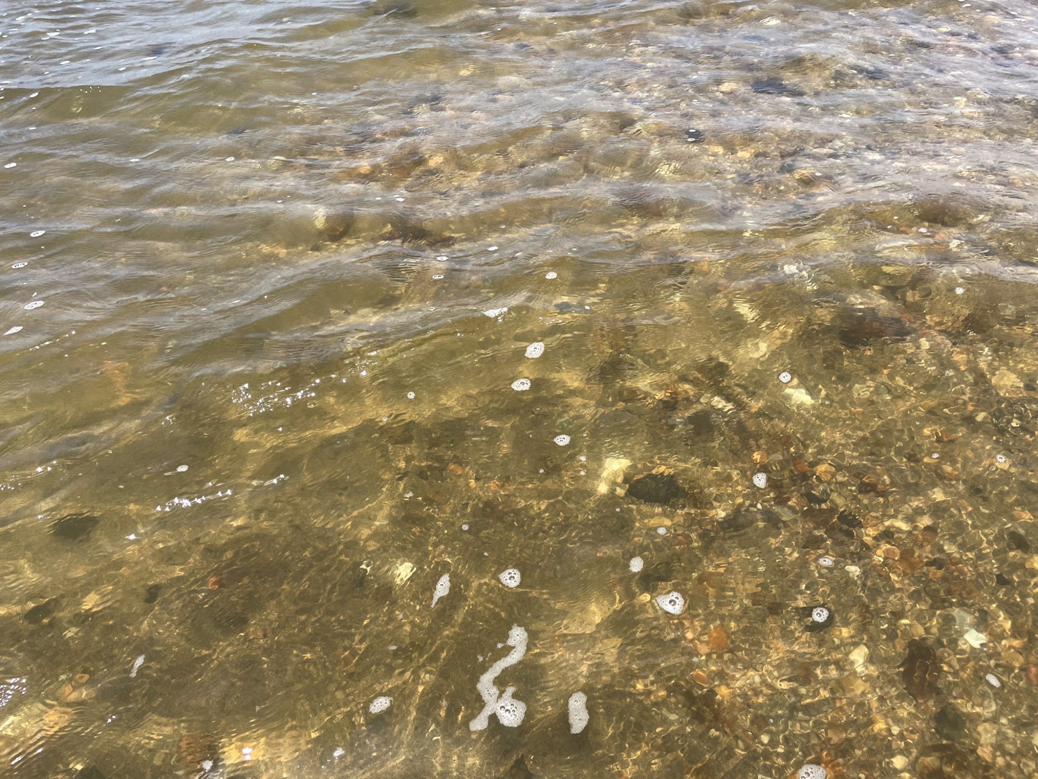海庙拾贝滩旅行图片 2