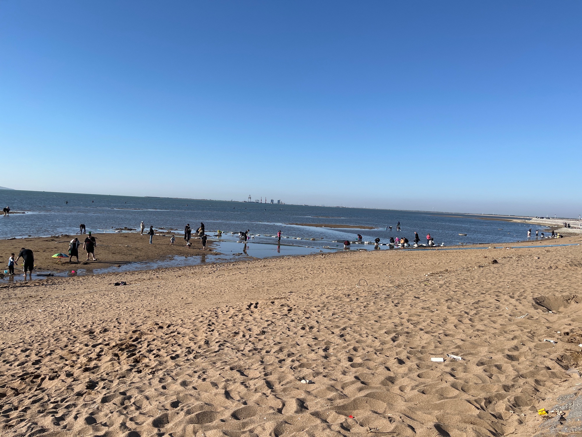 海庙拾贝滩旅行图片 2