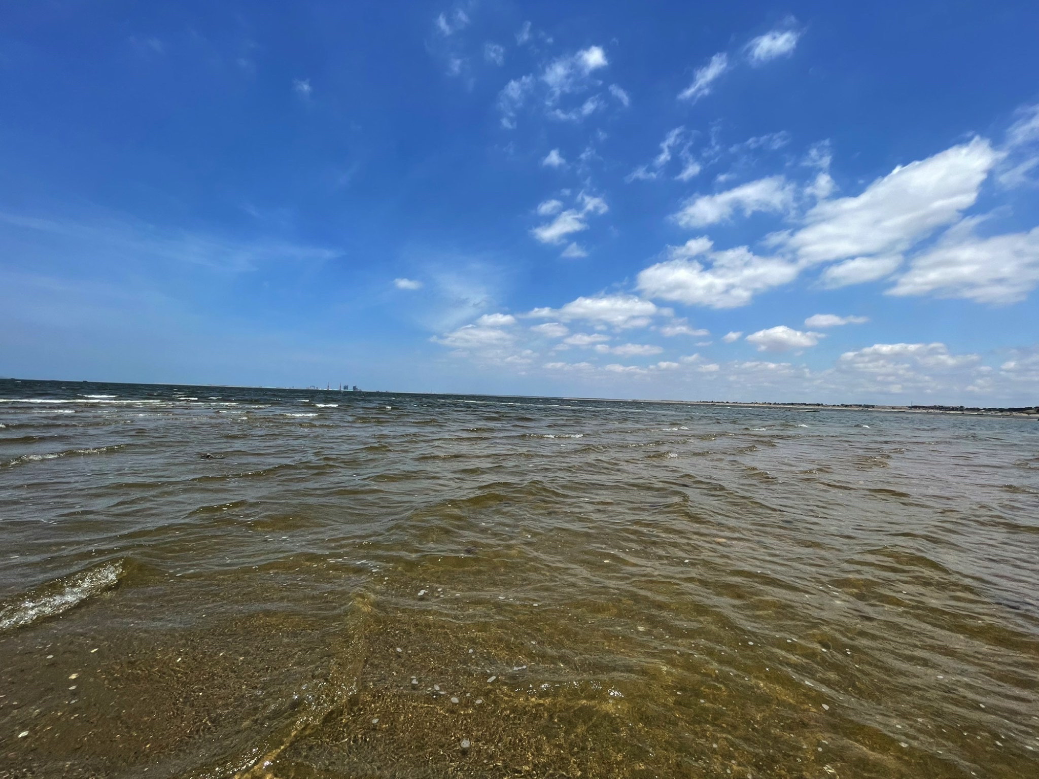 海庙拾贝滩旅行图片 3
