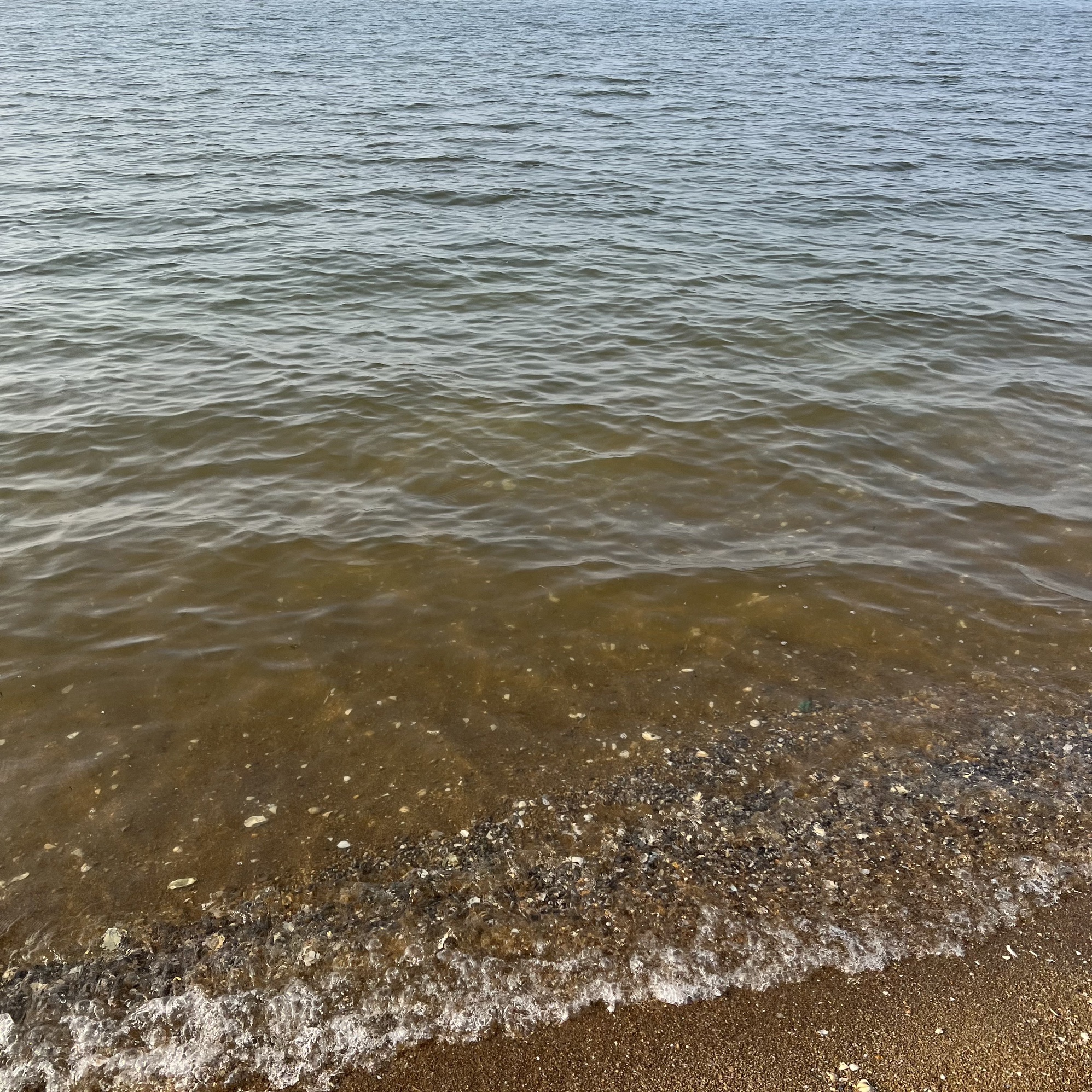 海庙拾贝滩旅行图片 1