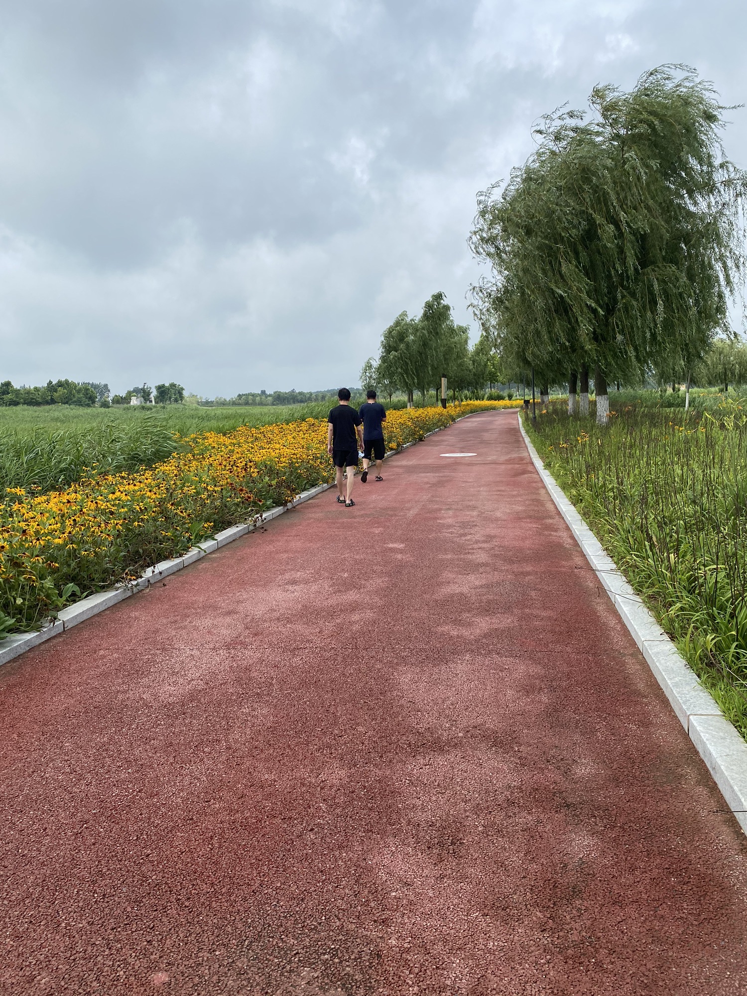 金花河湿地公园旅行图片 1
