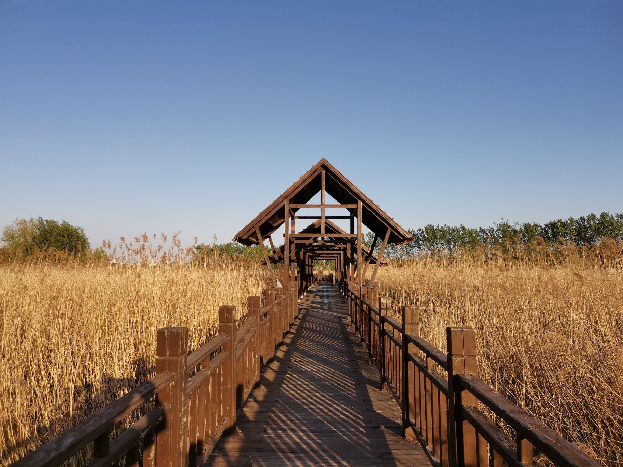 金花河湿地公园旅行图片 1