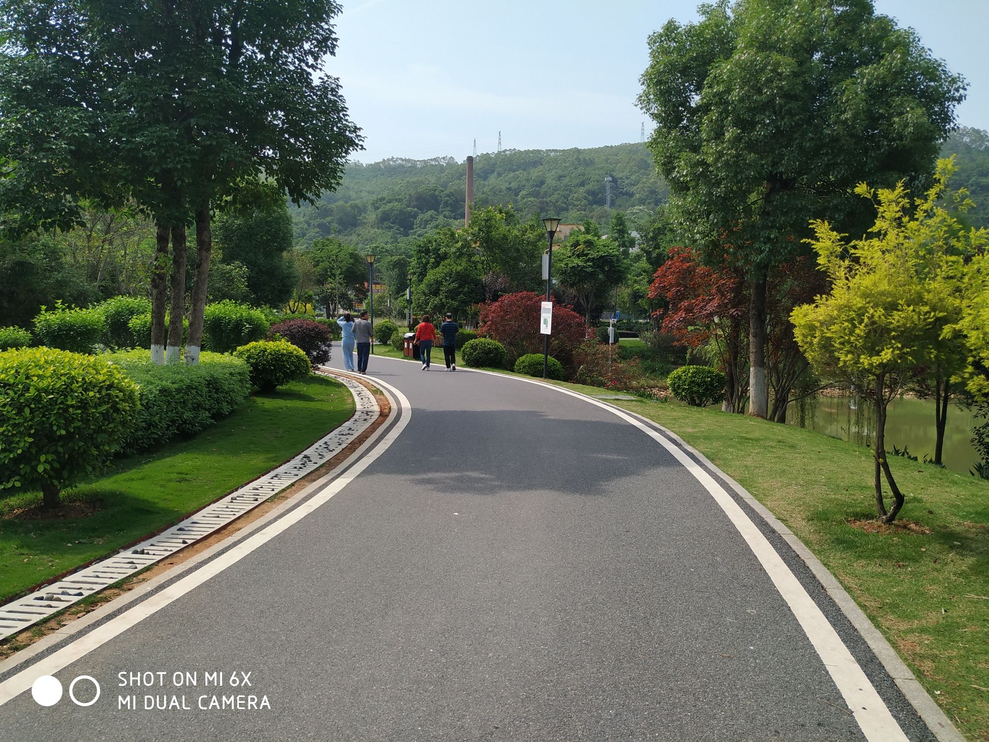 林桥公园旅行图片 3