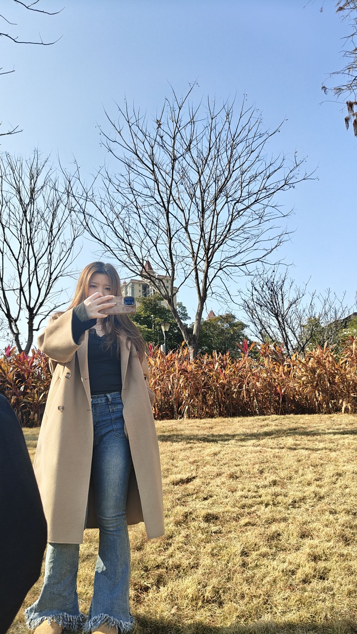 林桥公园旅行图片 3