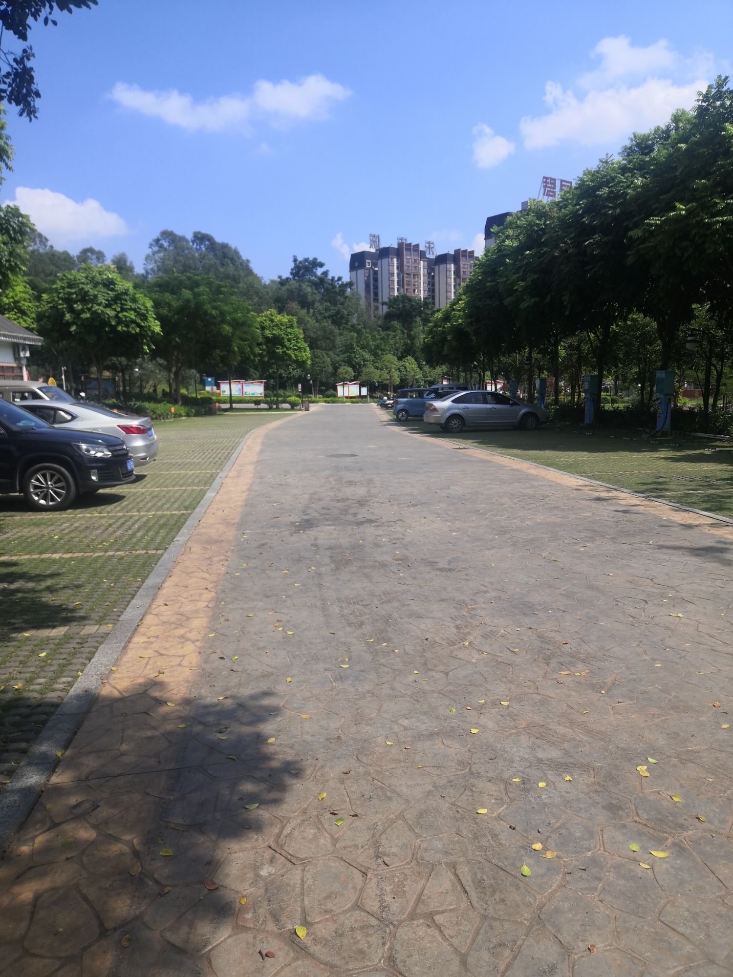 天福岭公园旅行图片 2