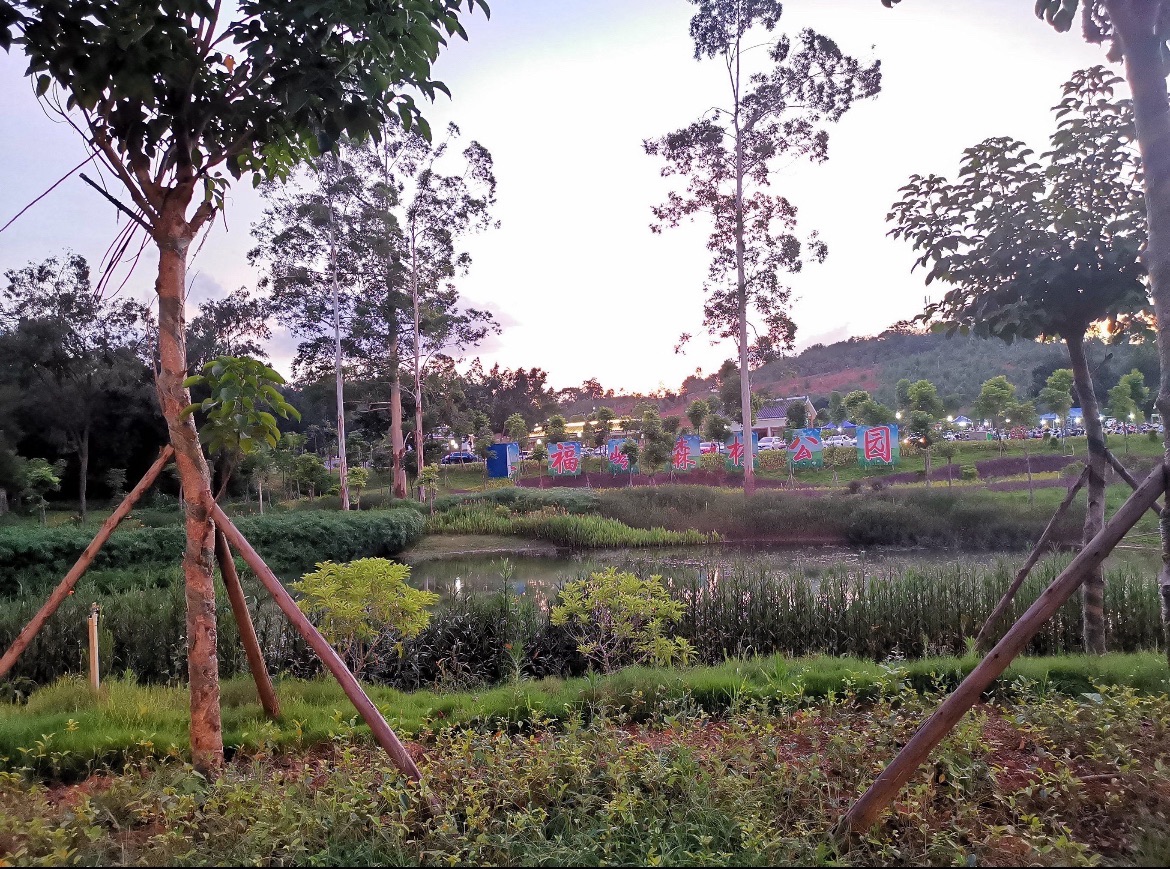 天福岭公园旅行图片 3